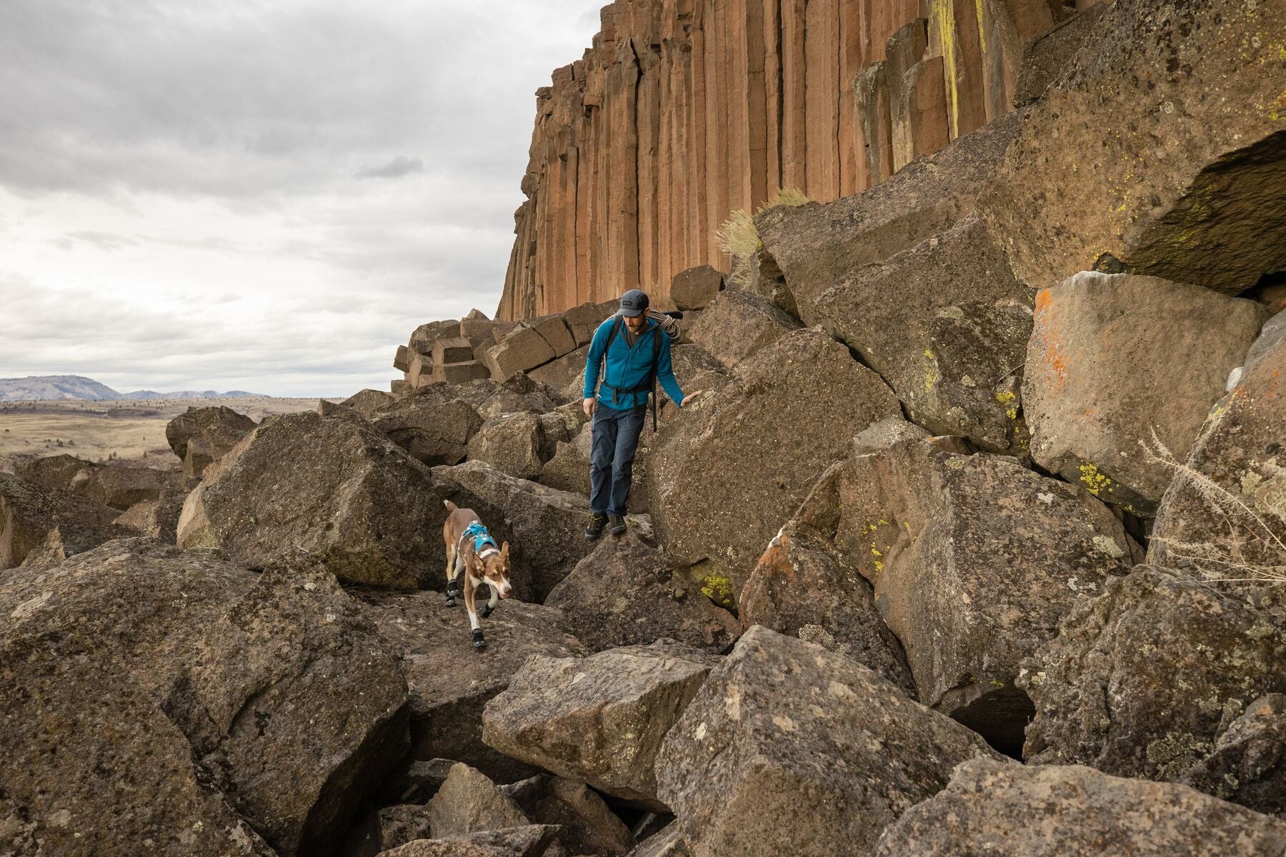 Imagen del producto 102