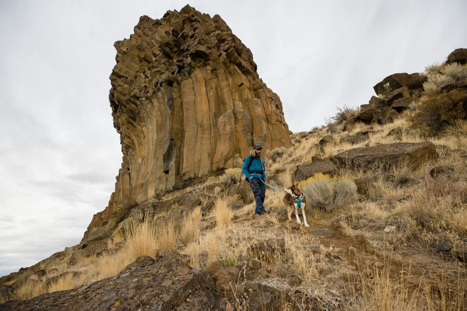 Imagen del producto 111