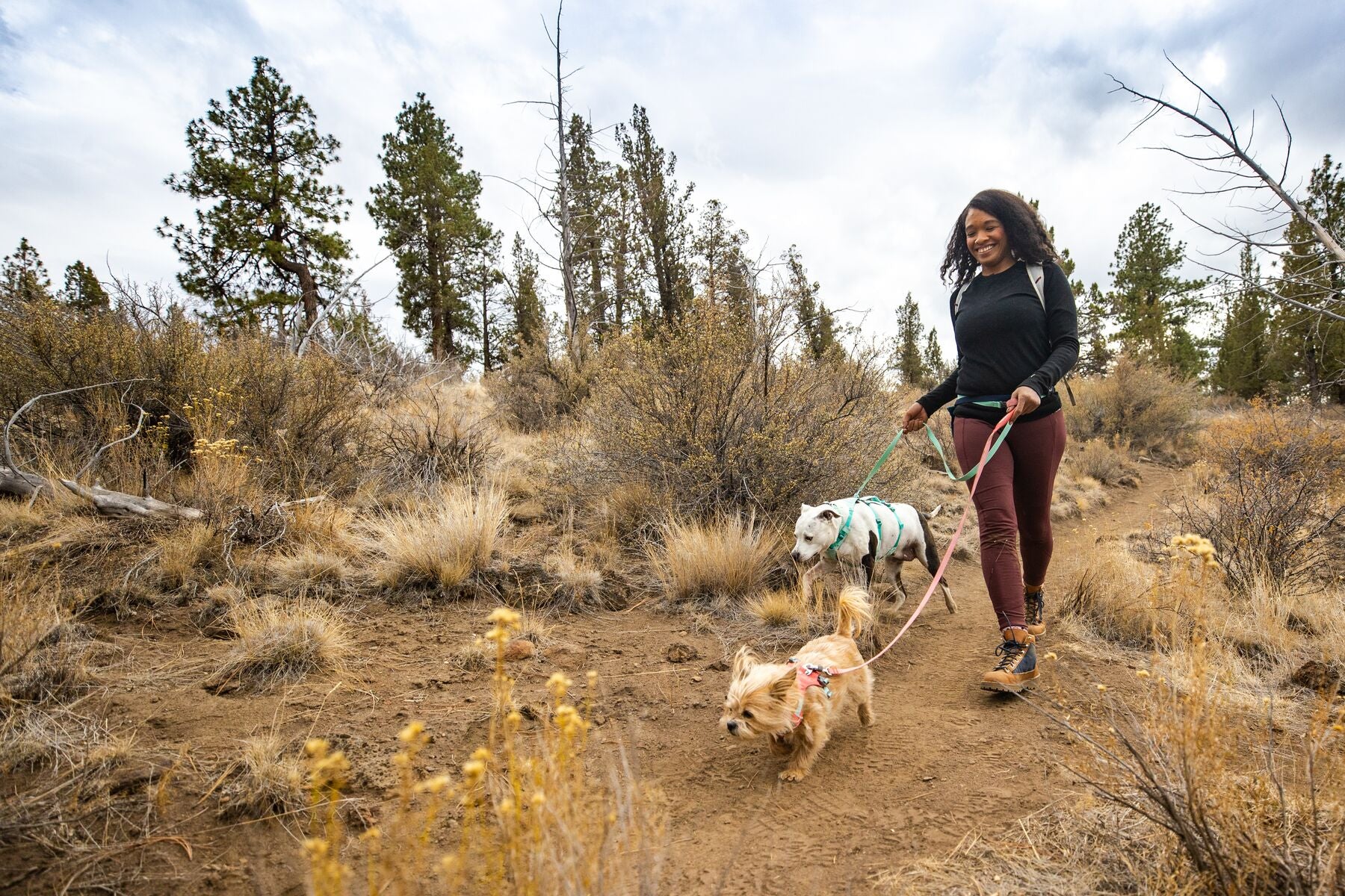 Imagen del producto 27