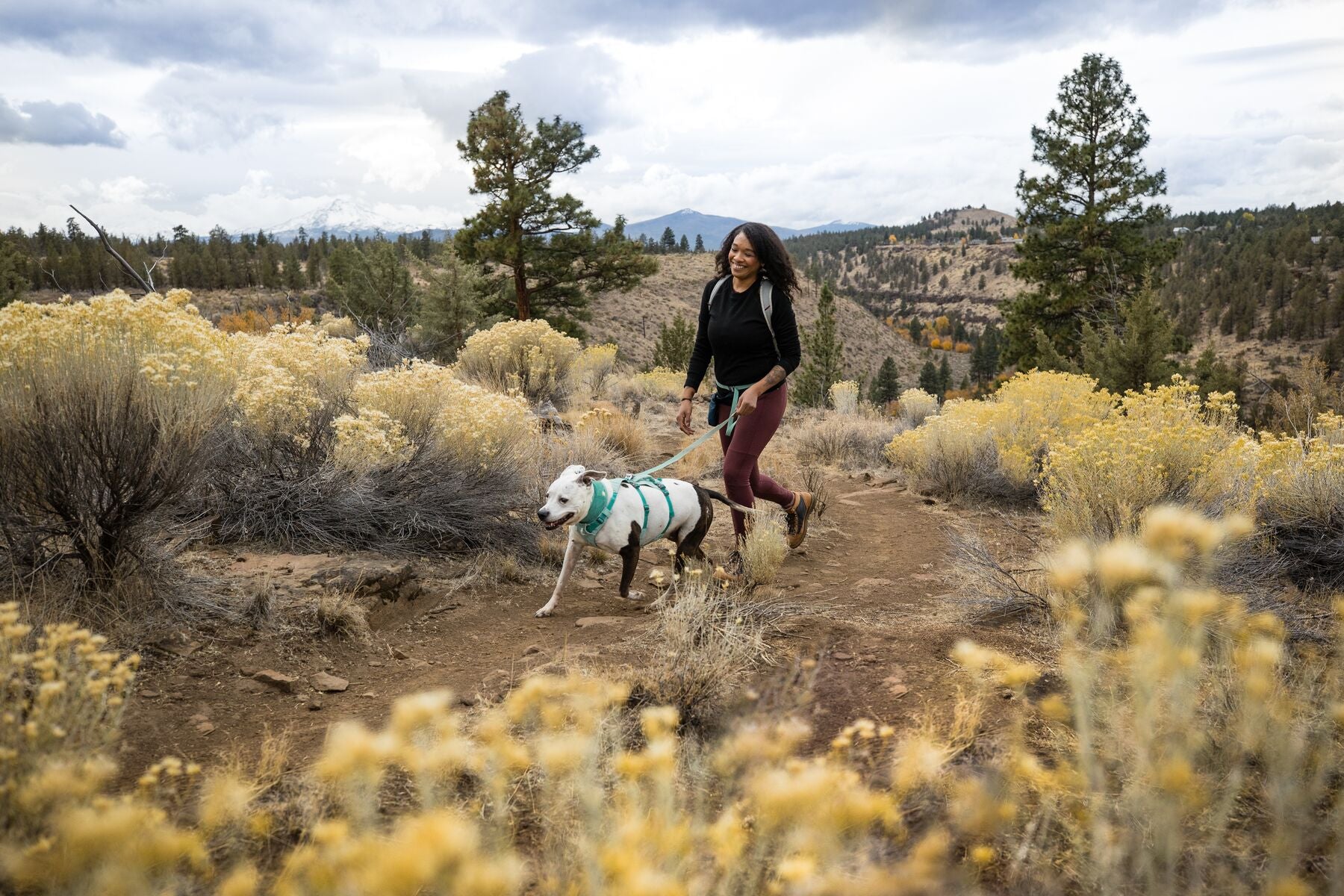 Imagen del producto 42