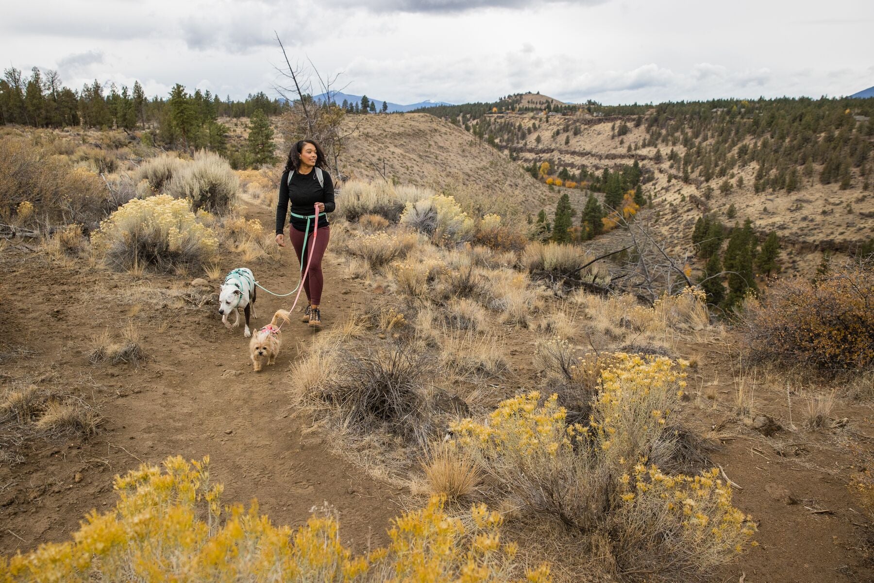 Imagen del producto 53