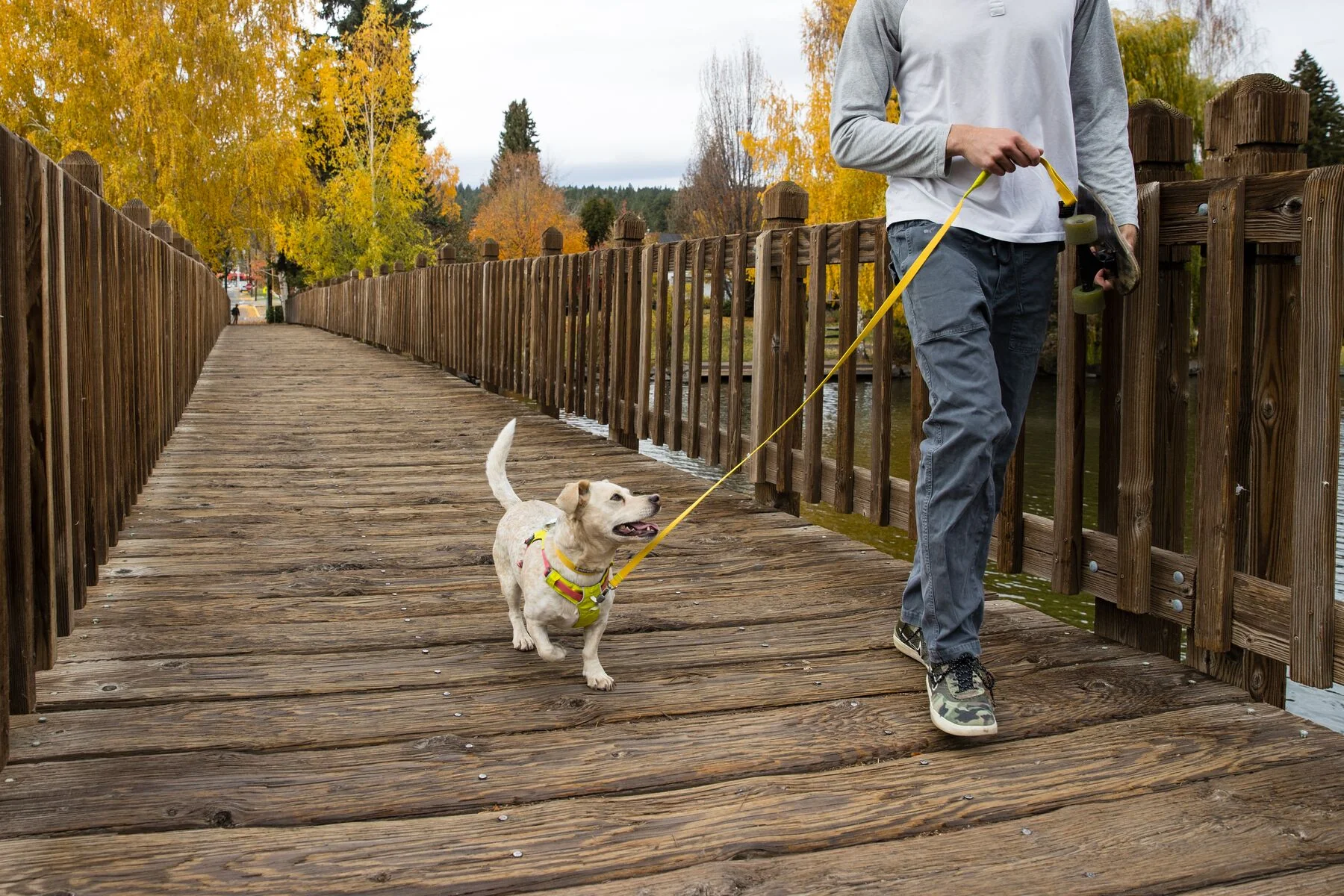 Imagen del producto 62