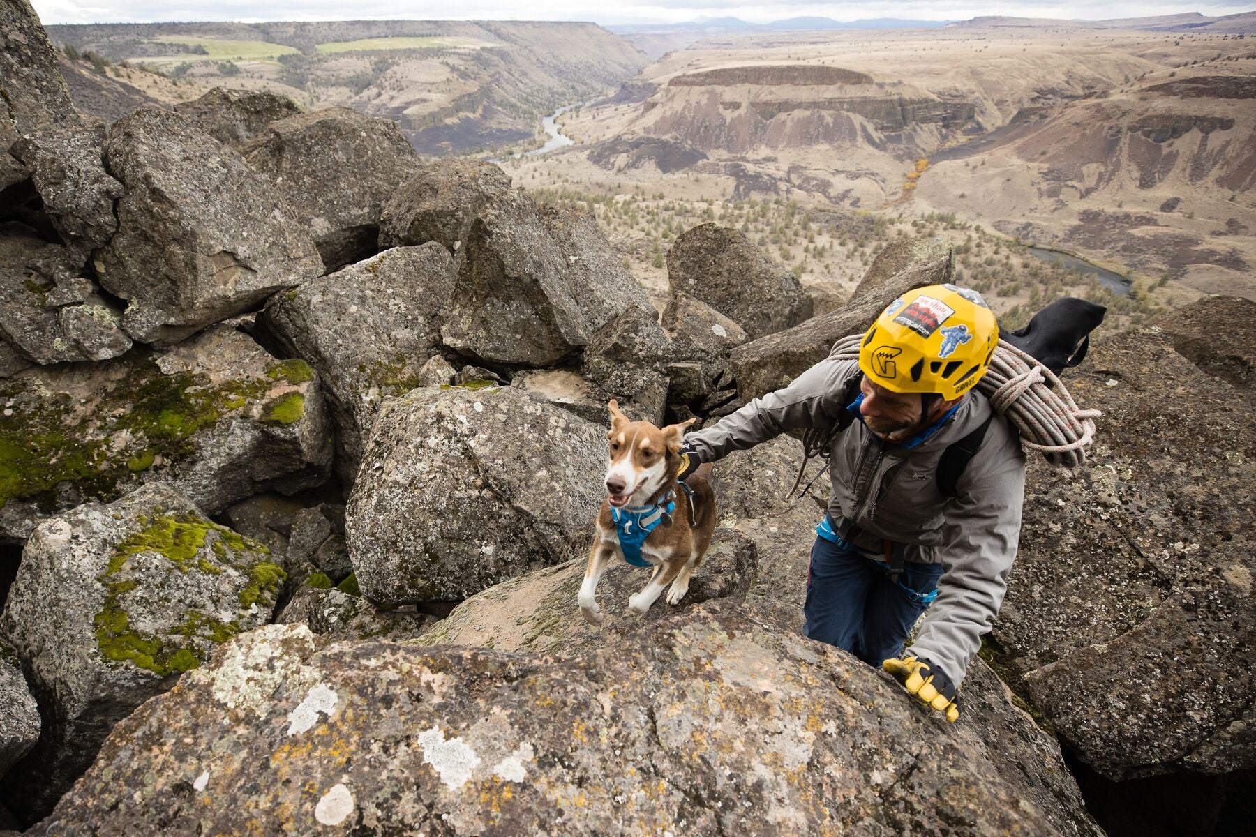 Imagen del producto 73