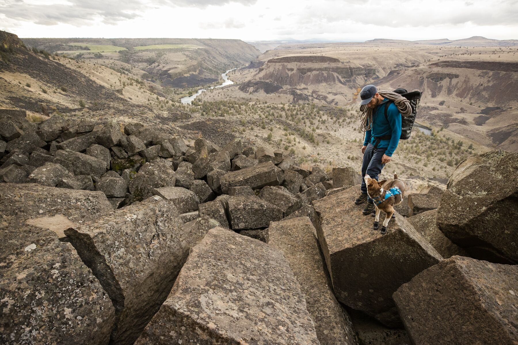 Imagen del producto 99