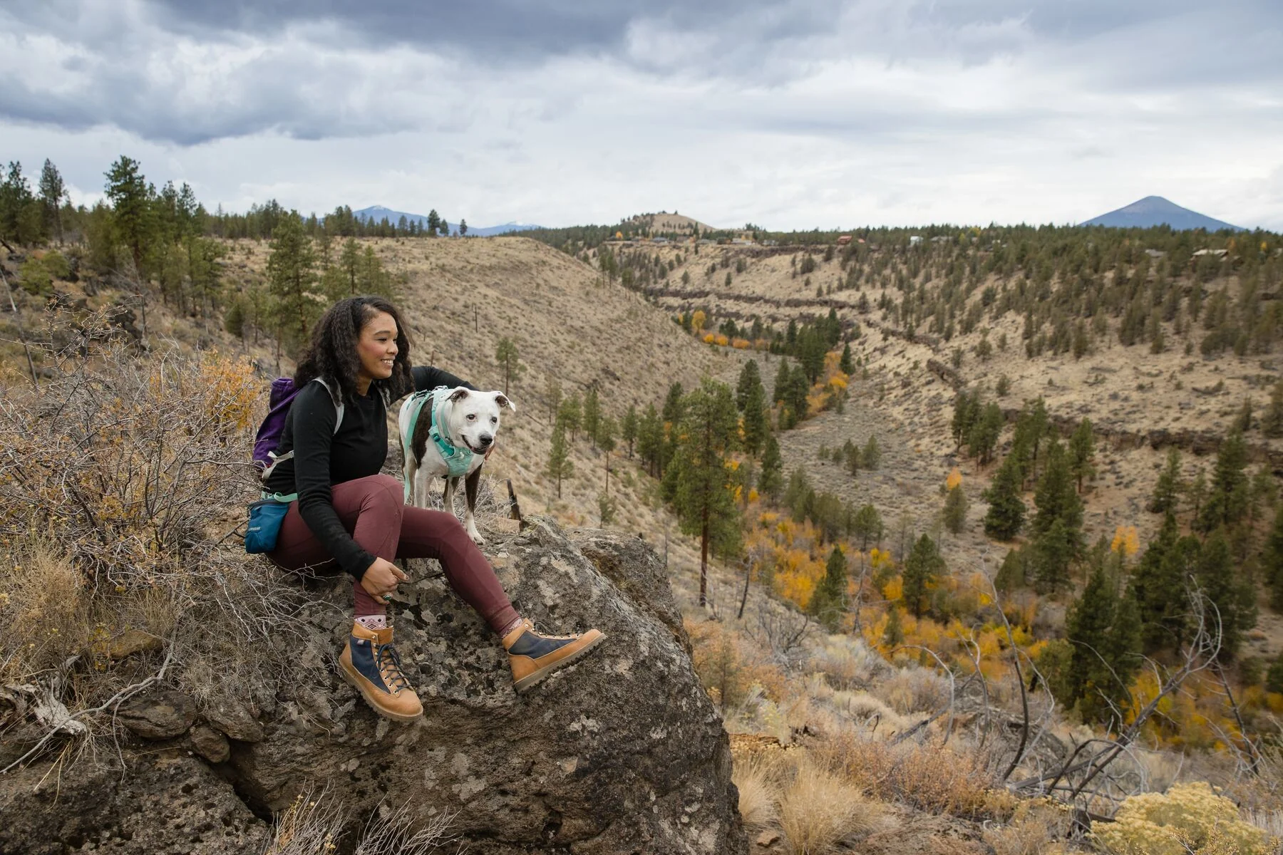 Imagen del producto 39