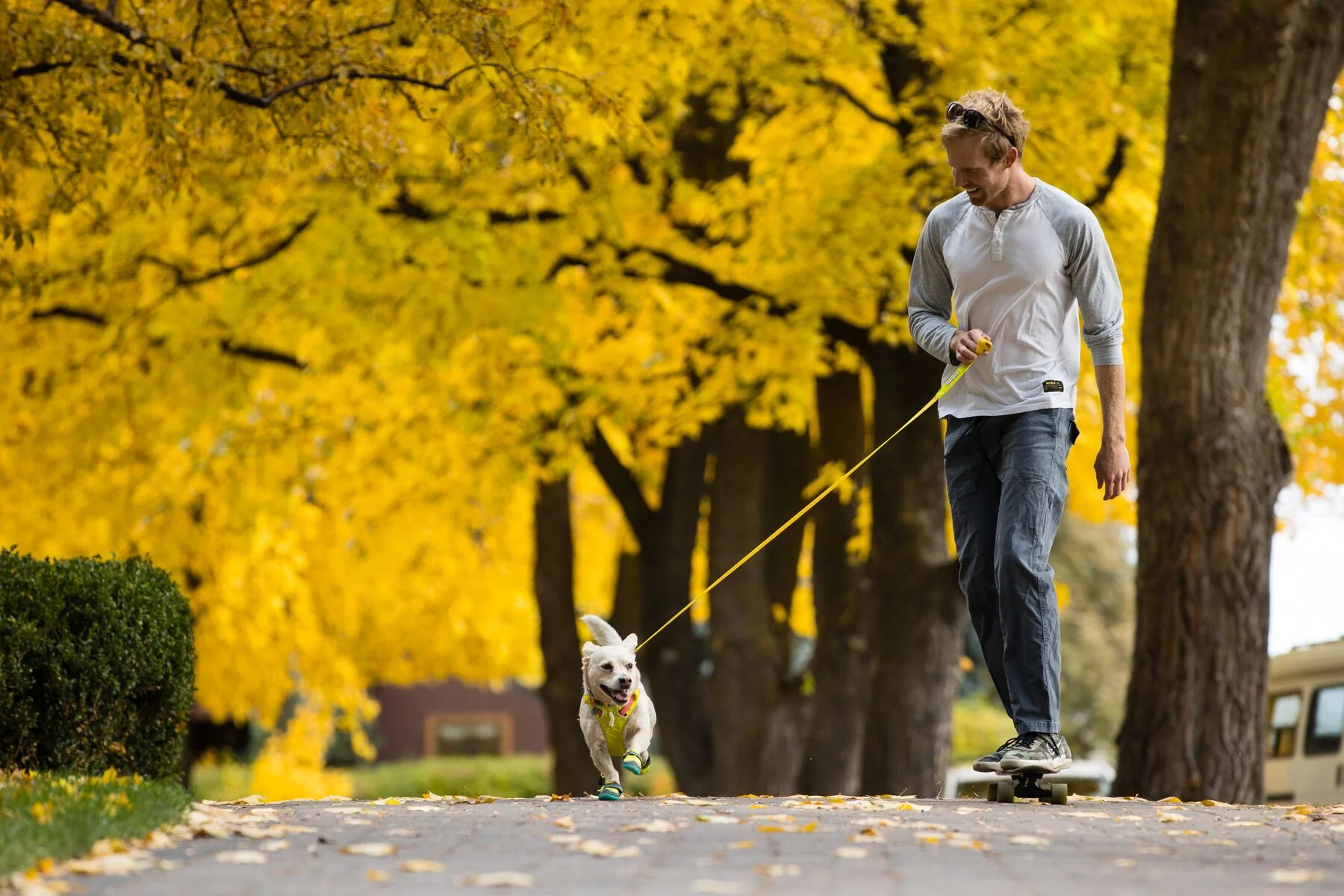 Imagen del producto 49