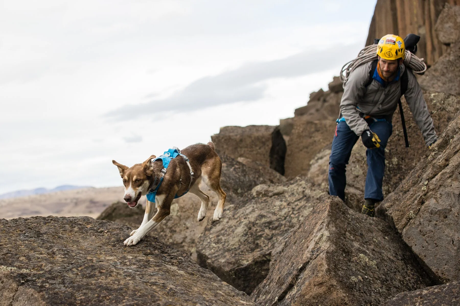 Imagen del producto 65