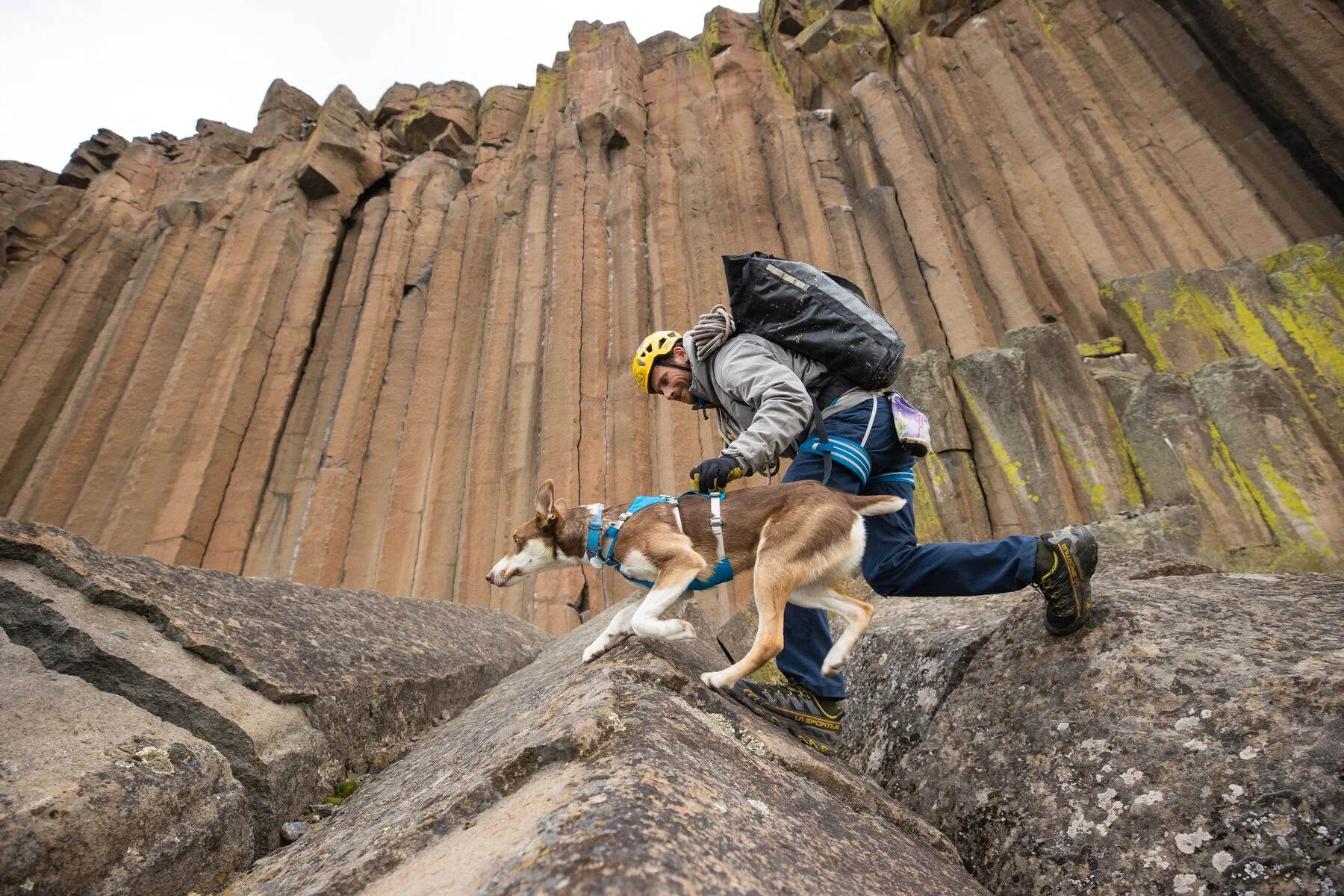 Imagen del producto 71