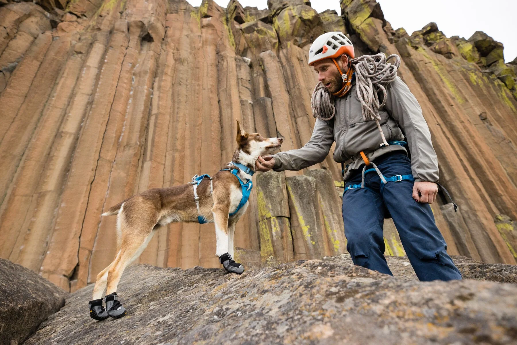 Imagen del producto 83