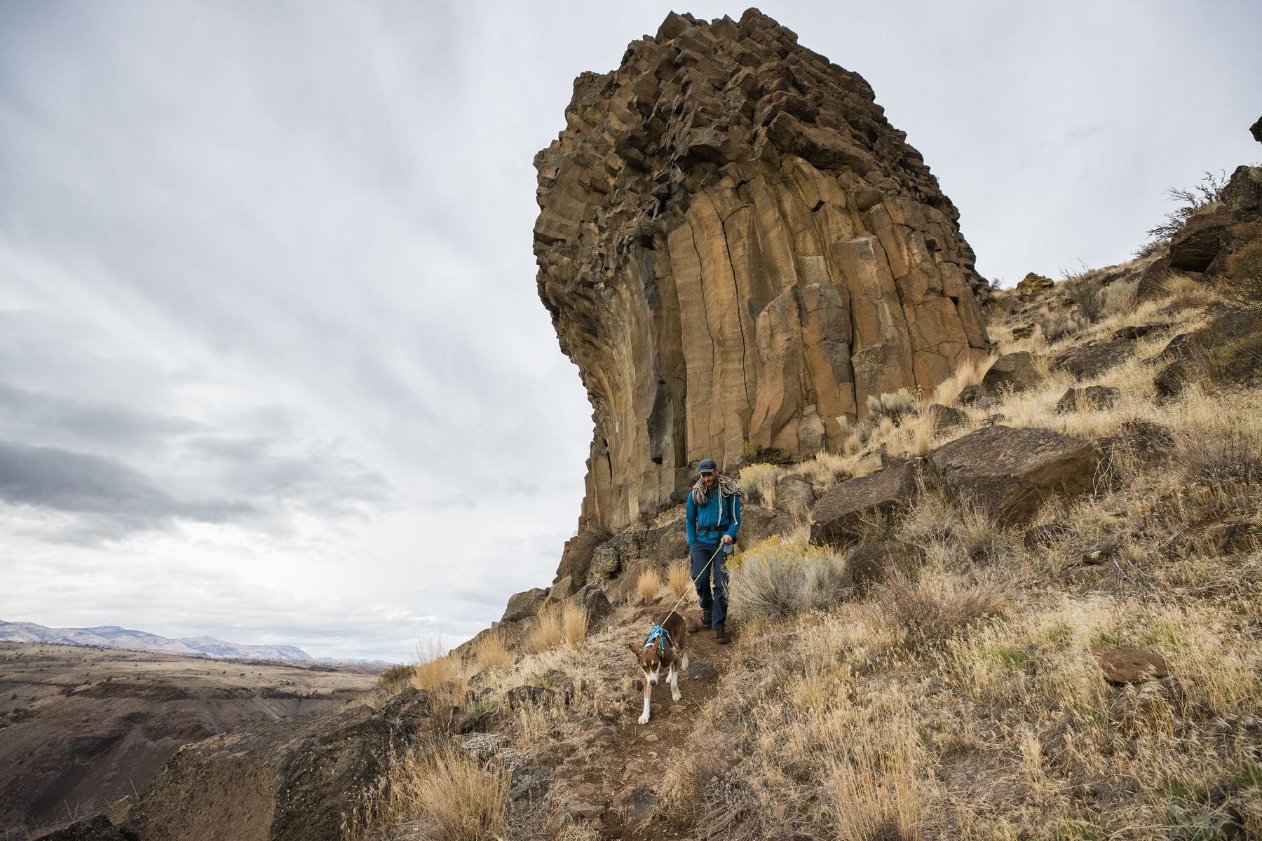 Imagen del producto 99