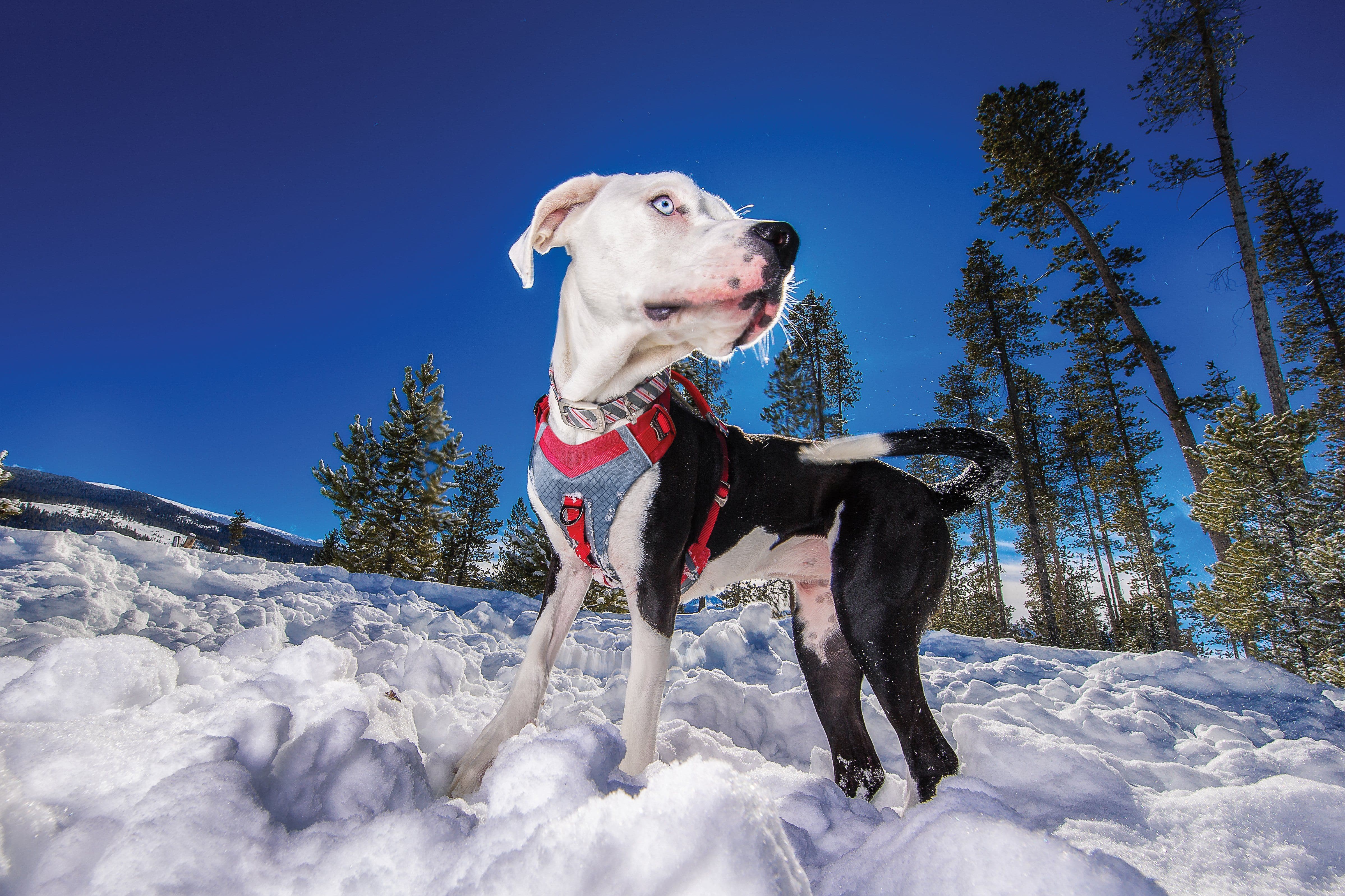 Imagen del producto 11