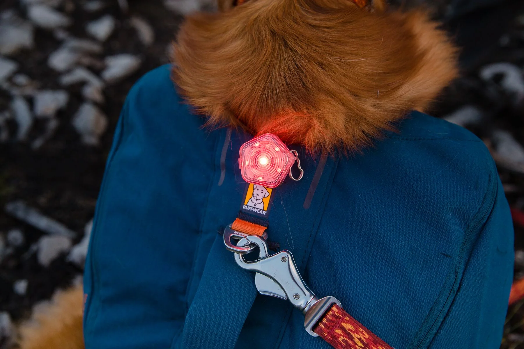 Imagen del producto 9