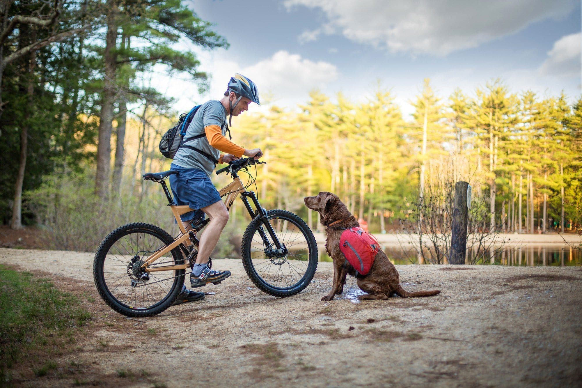 Imagen del producto 11