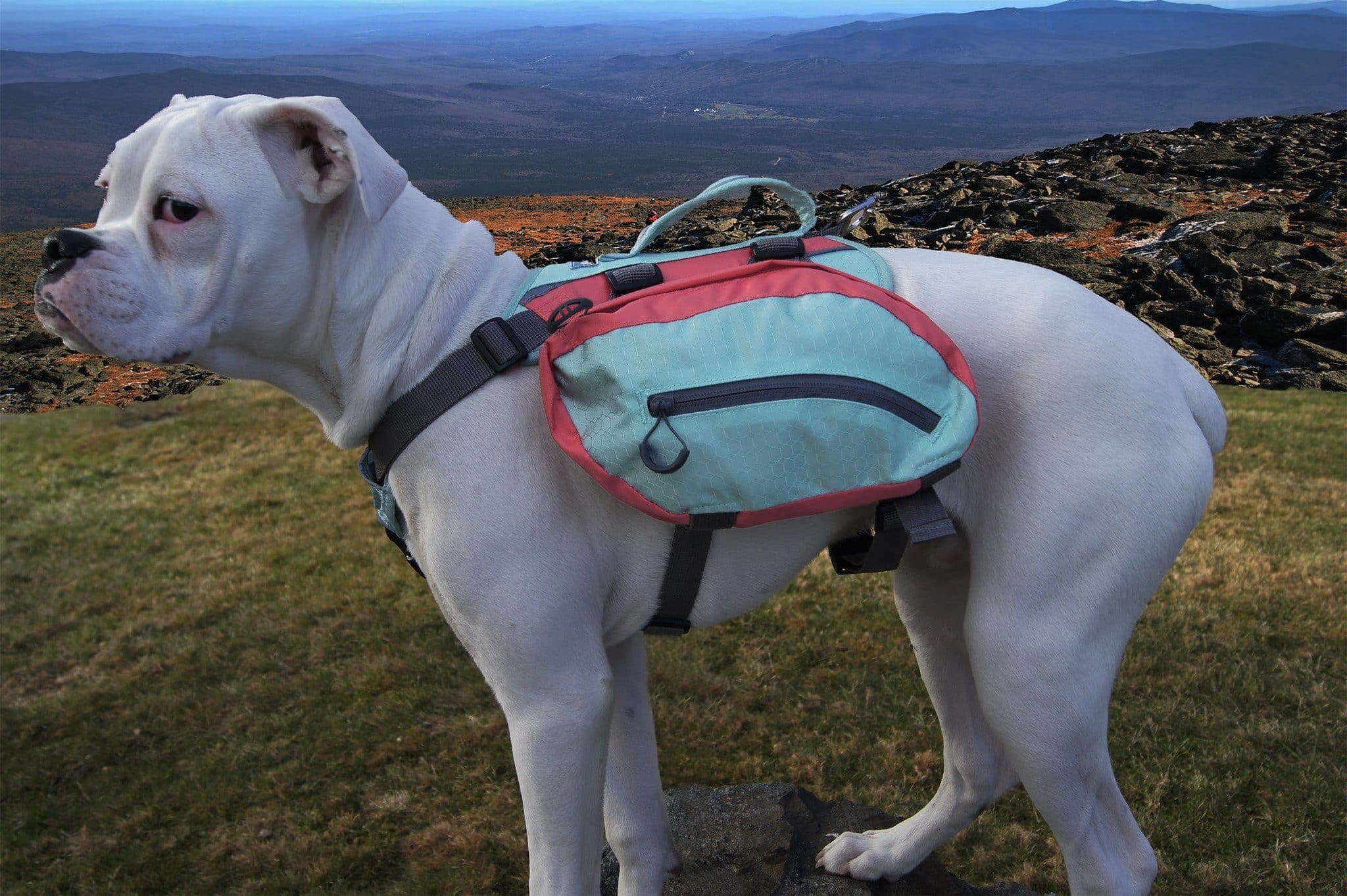 Imagen del producto 12