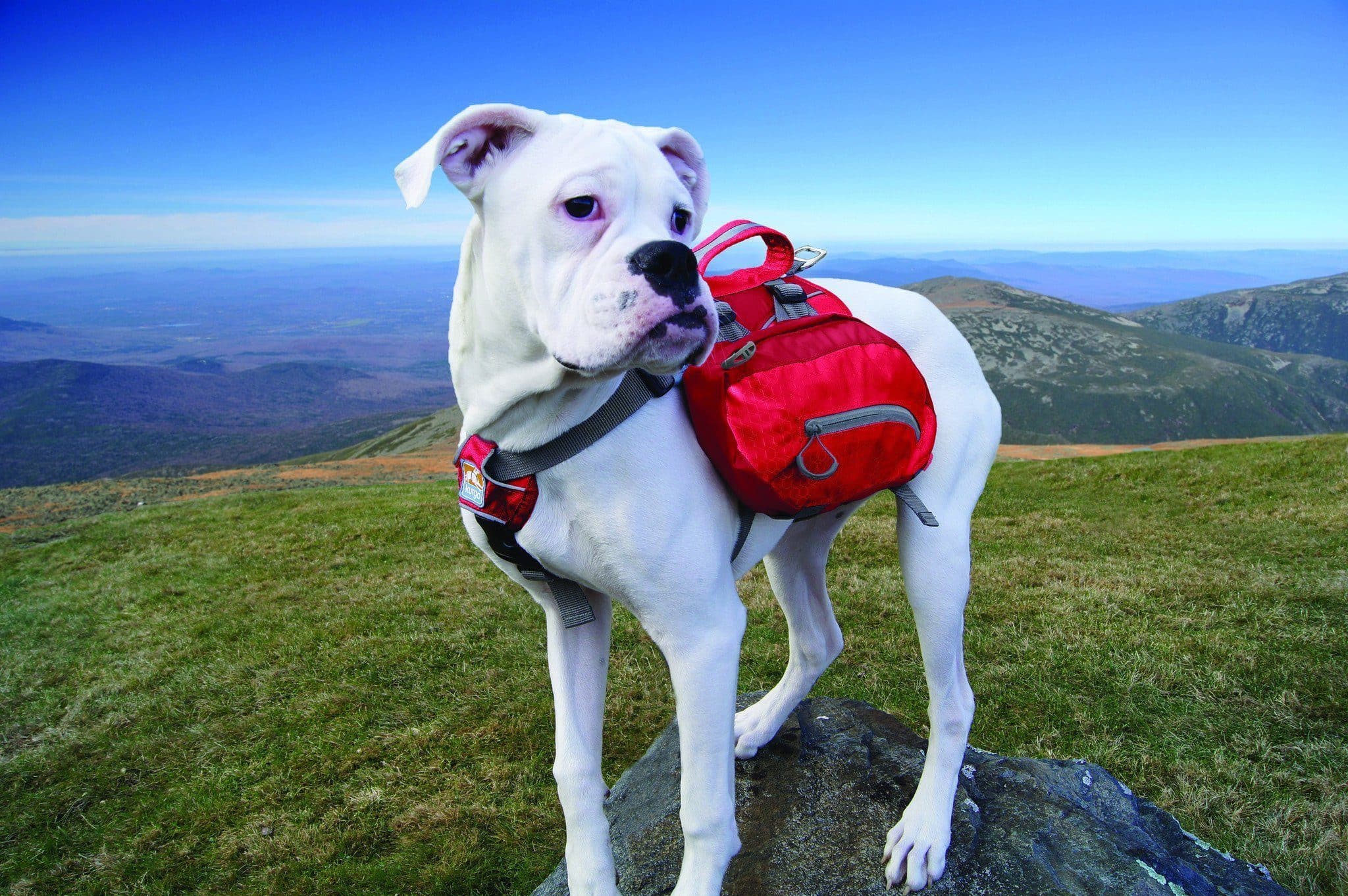 Imagen del producto 14