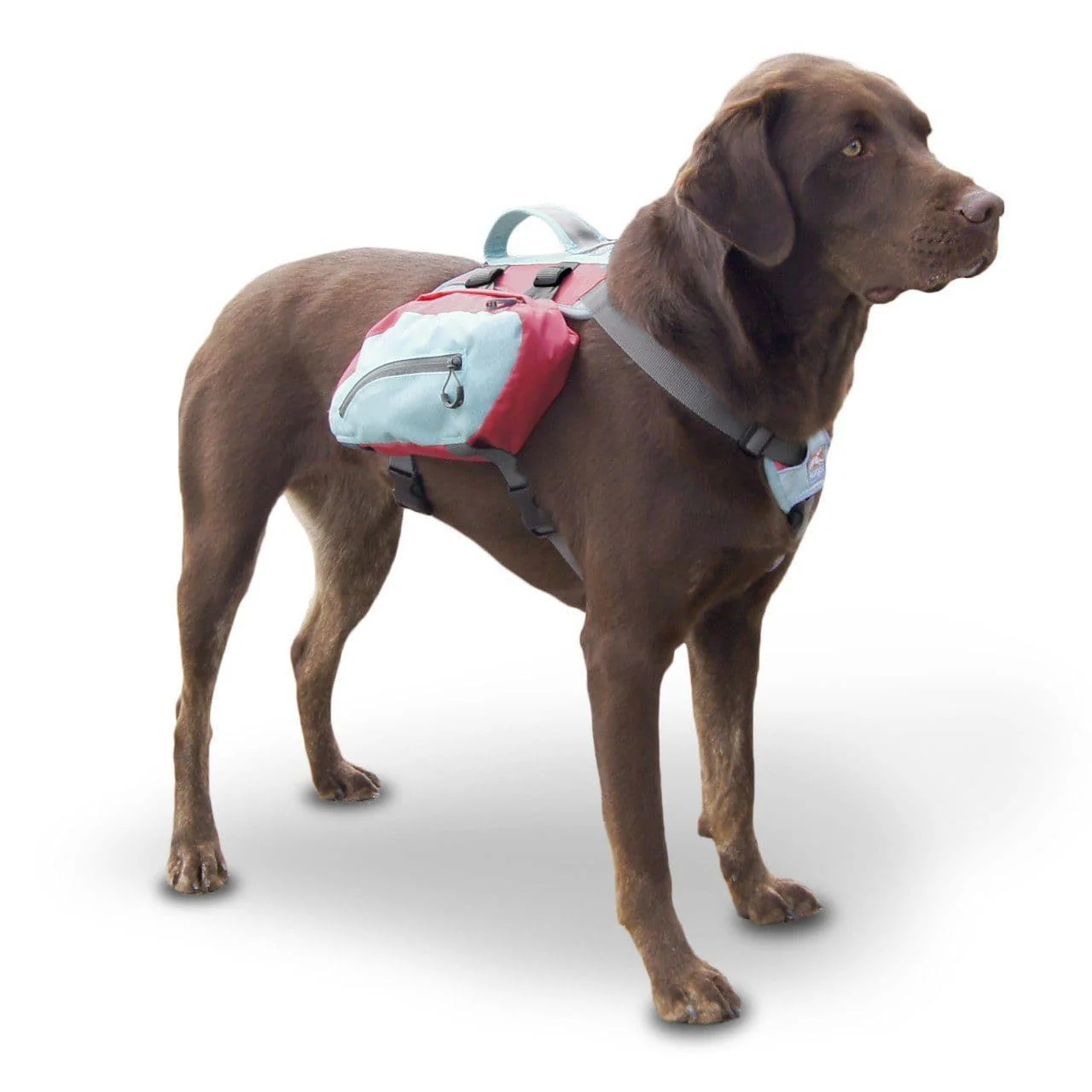 Imagen del producto 19