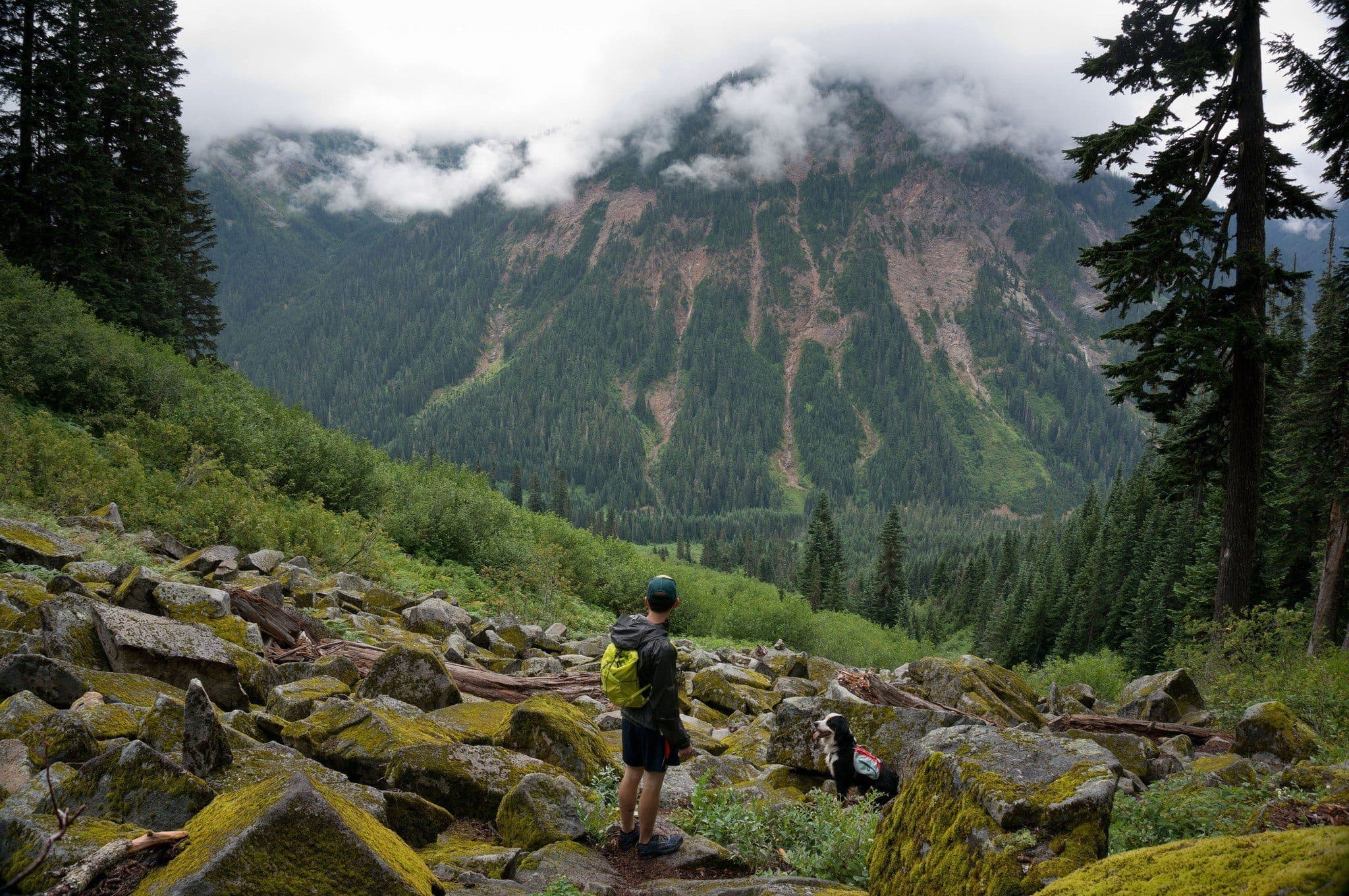 Imagen del producto 7