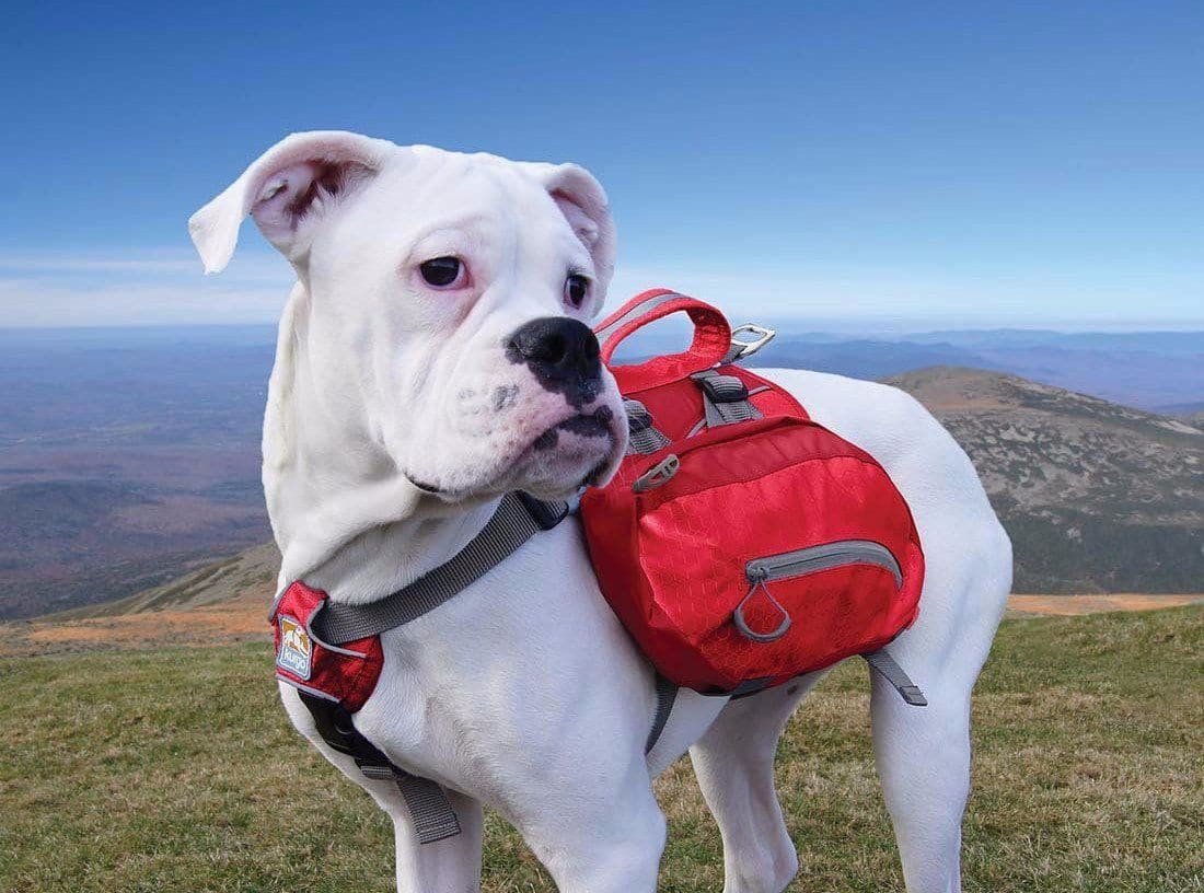 Imagen del producto 20