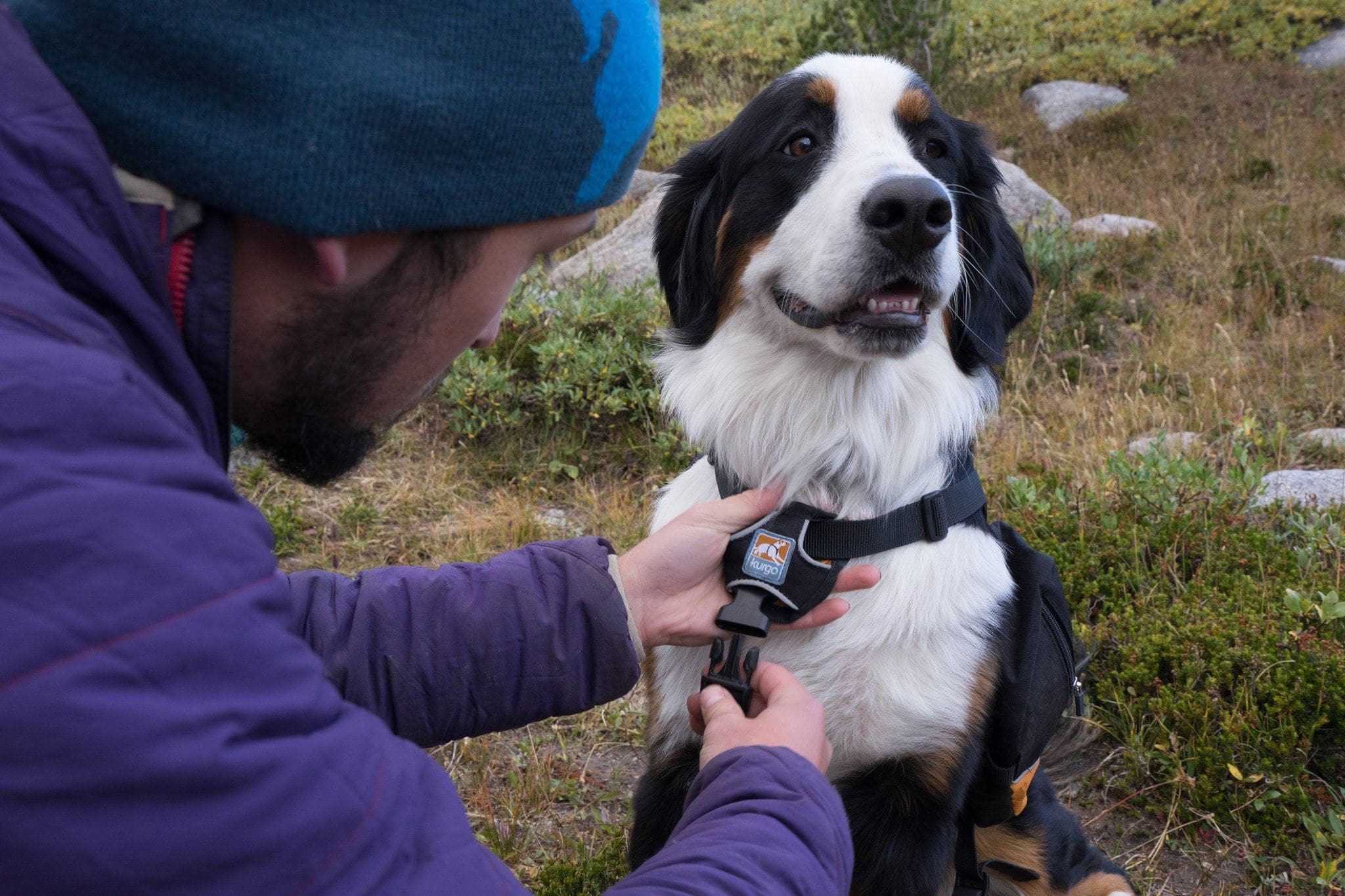 Imagen del producto 10