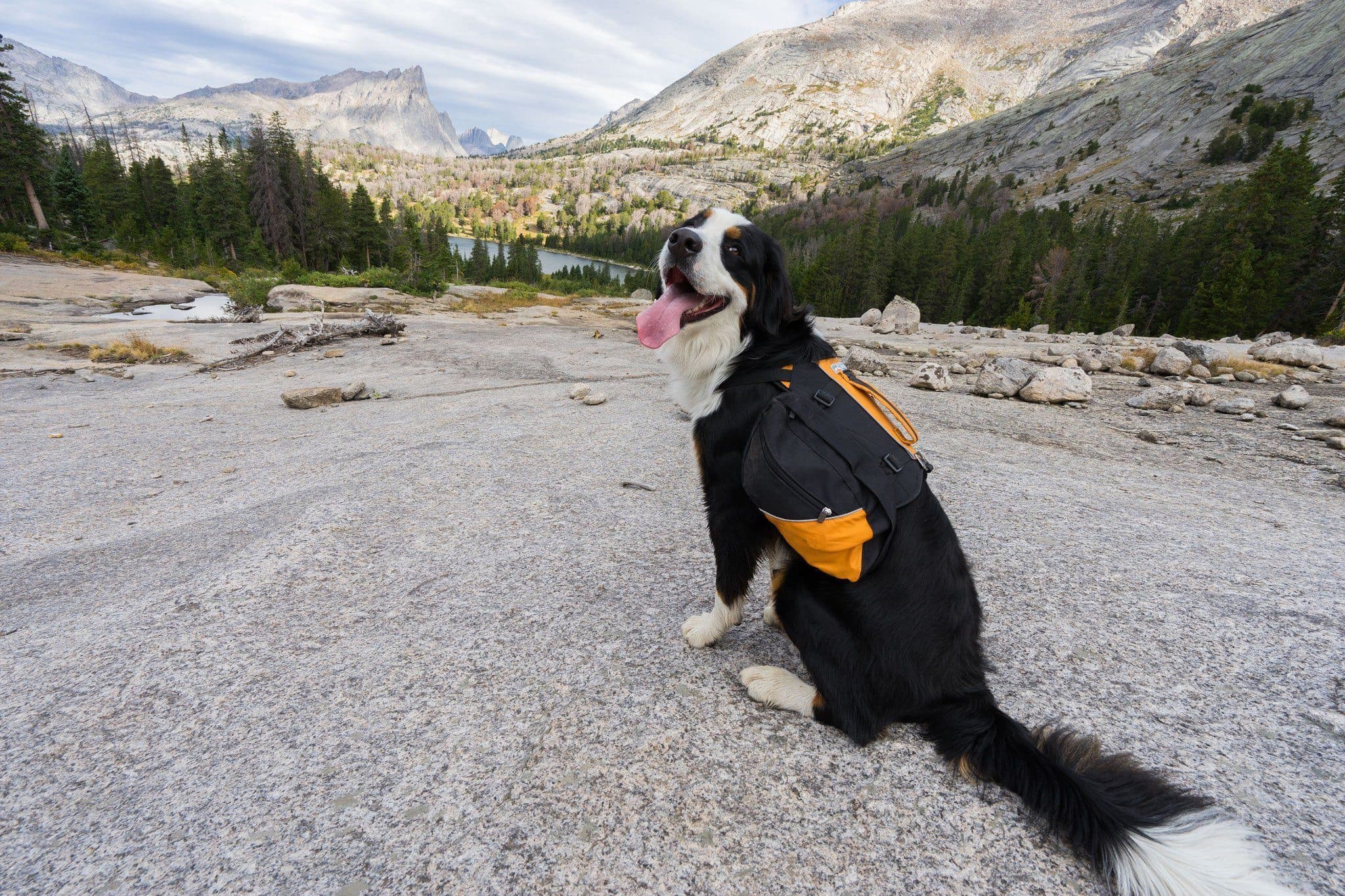 Imagen del producto 12