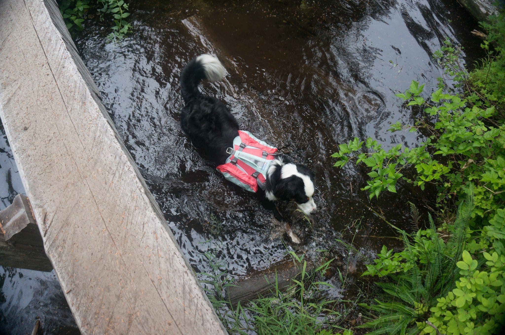 Imagen del producto 20