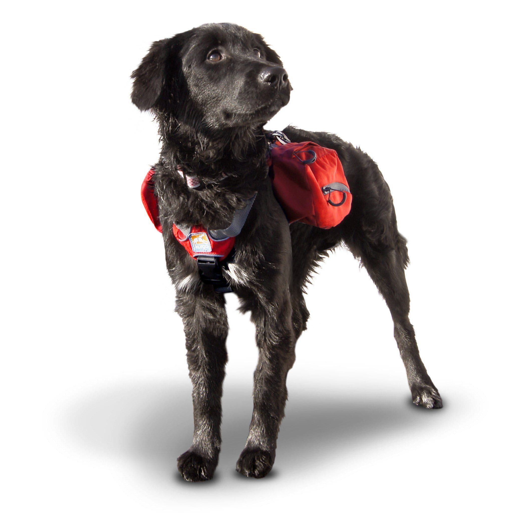 Imagen del producto 21