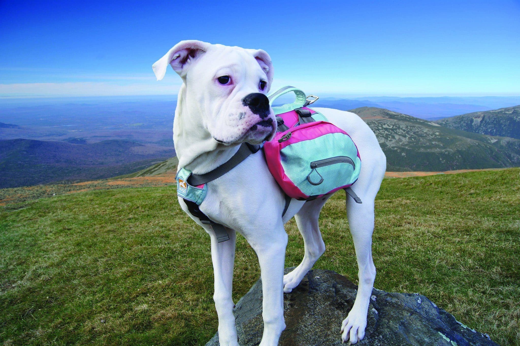 Imagen del producto 23