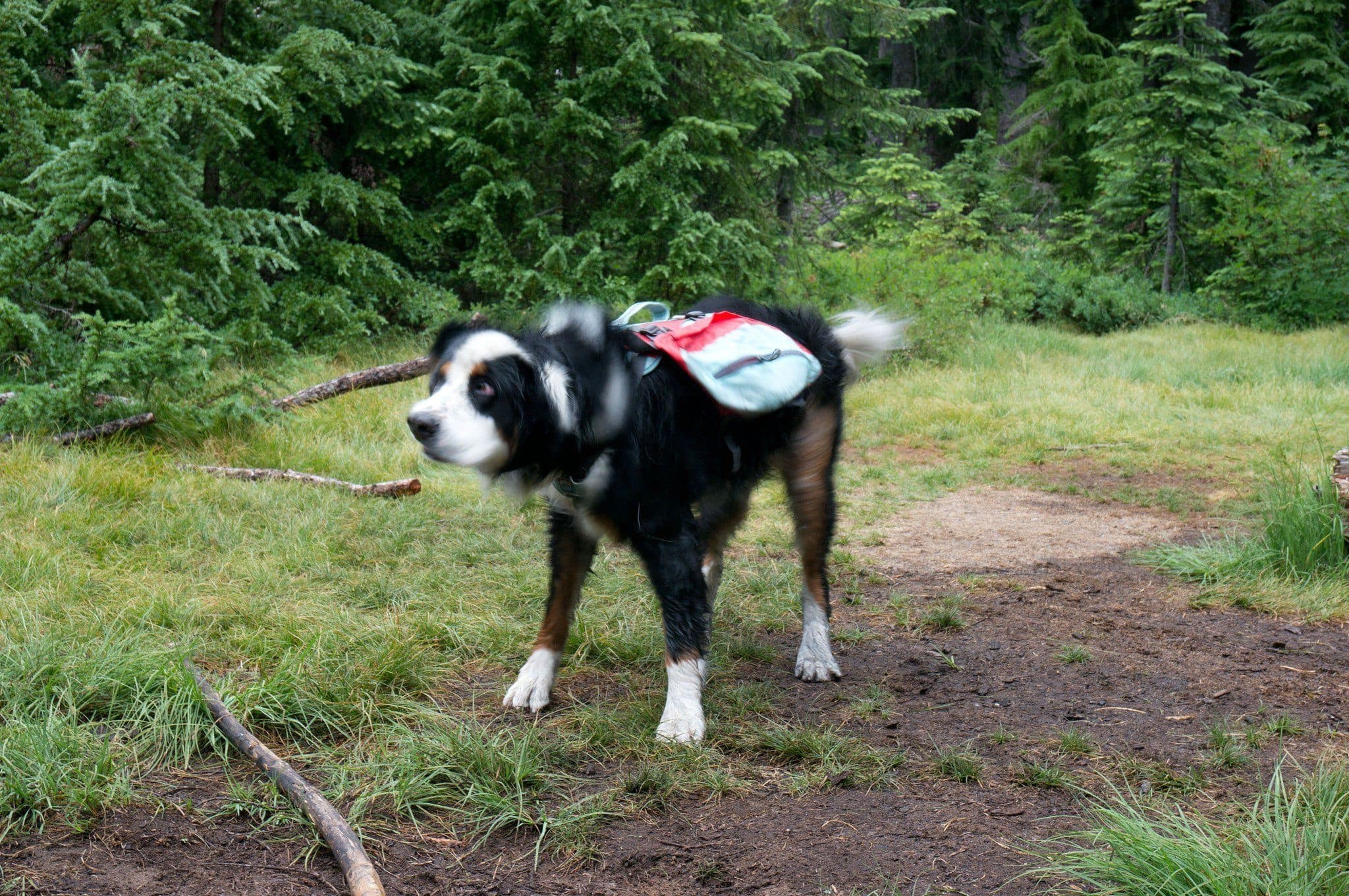 Imagen del producto 27