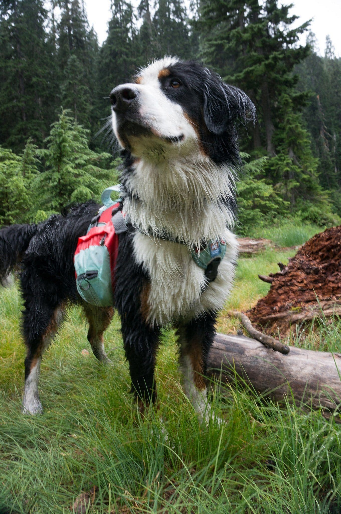 Imagen del producto 28