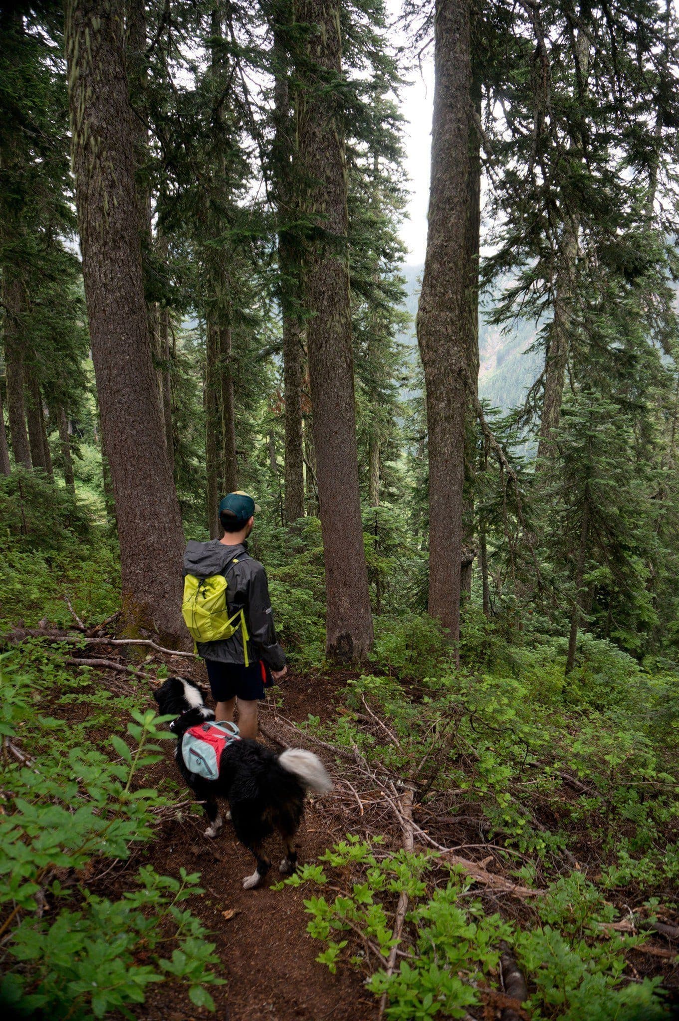 Imagen del producto 30