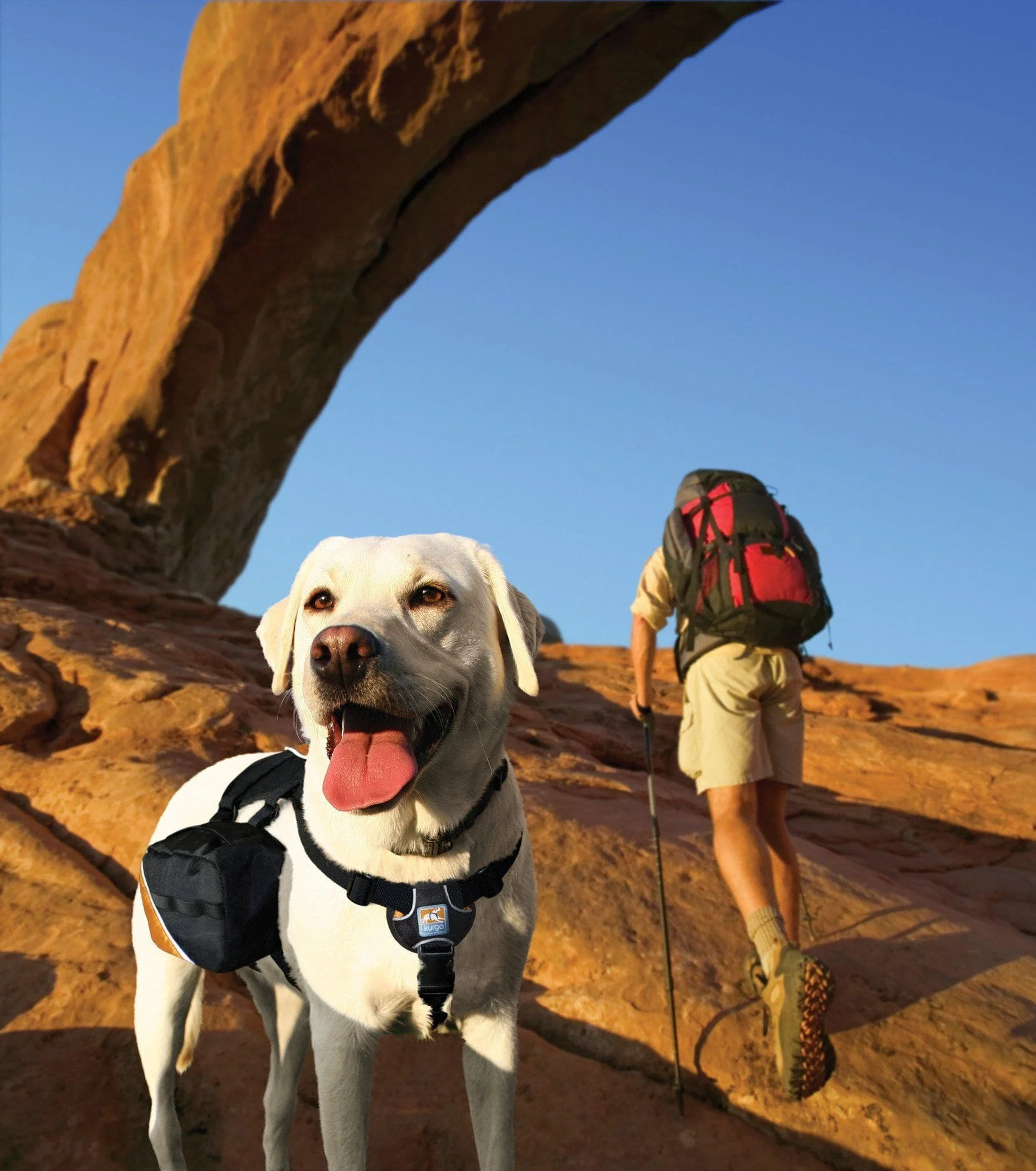 Imagen del producto 9