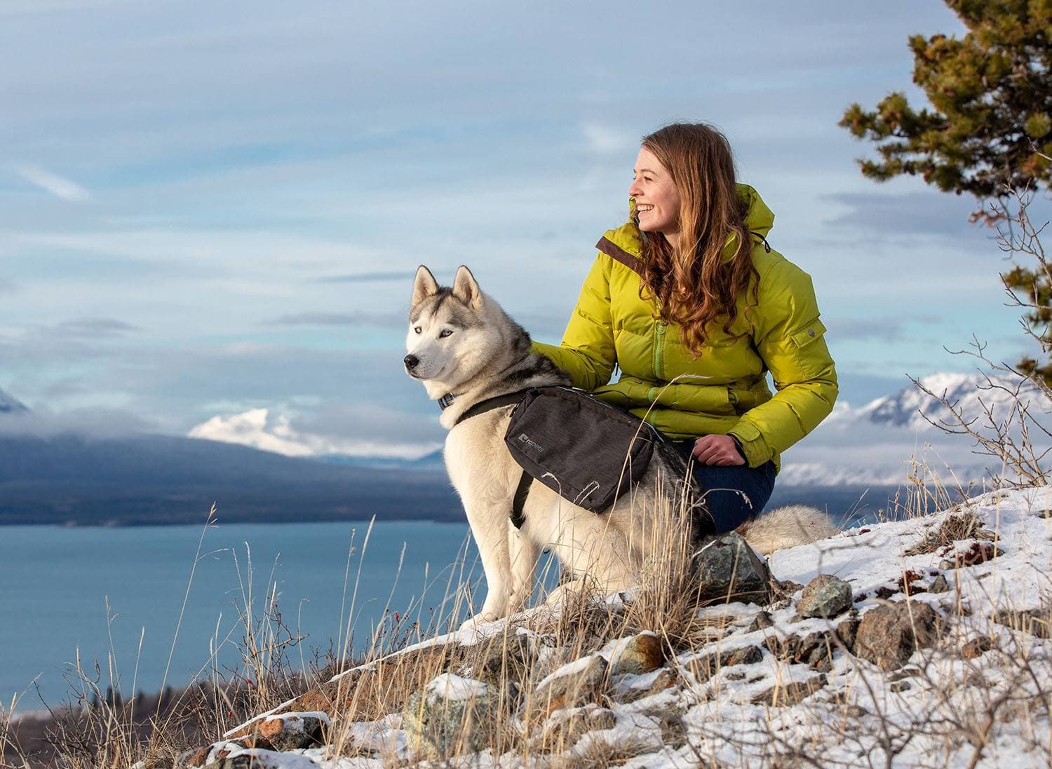 Imagen del producto 4