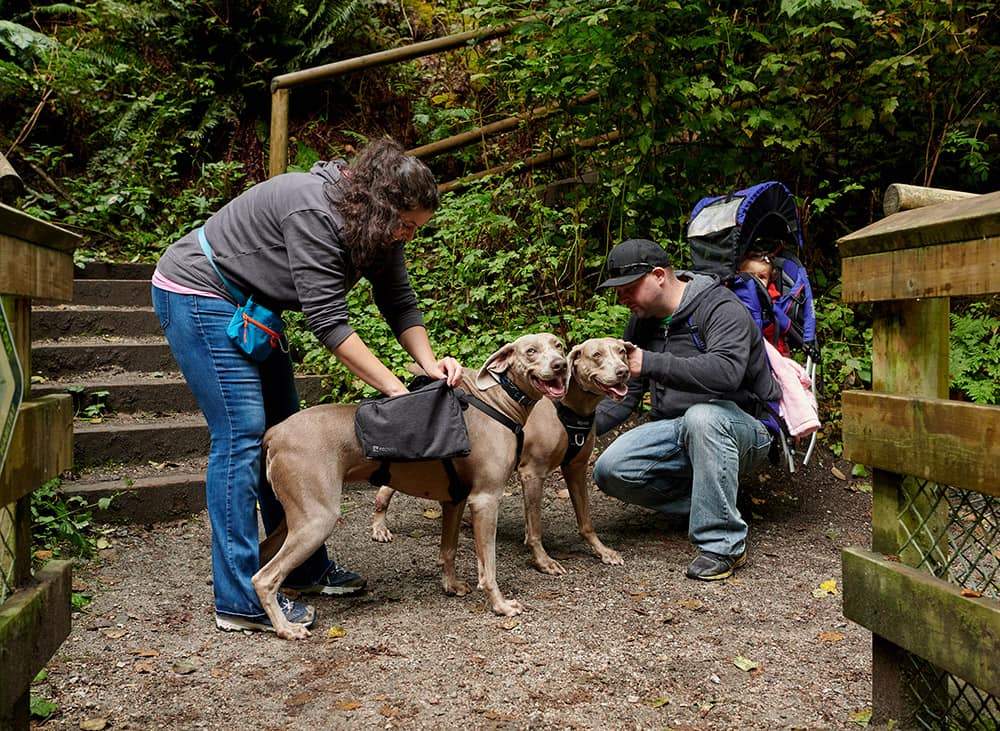 Imagen del producto 9