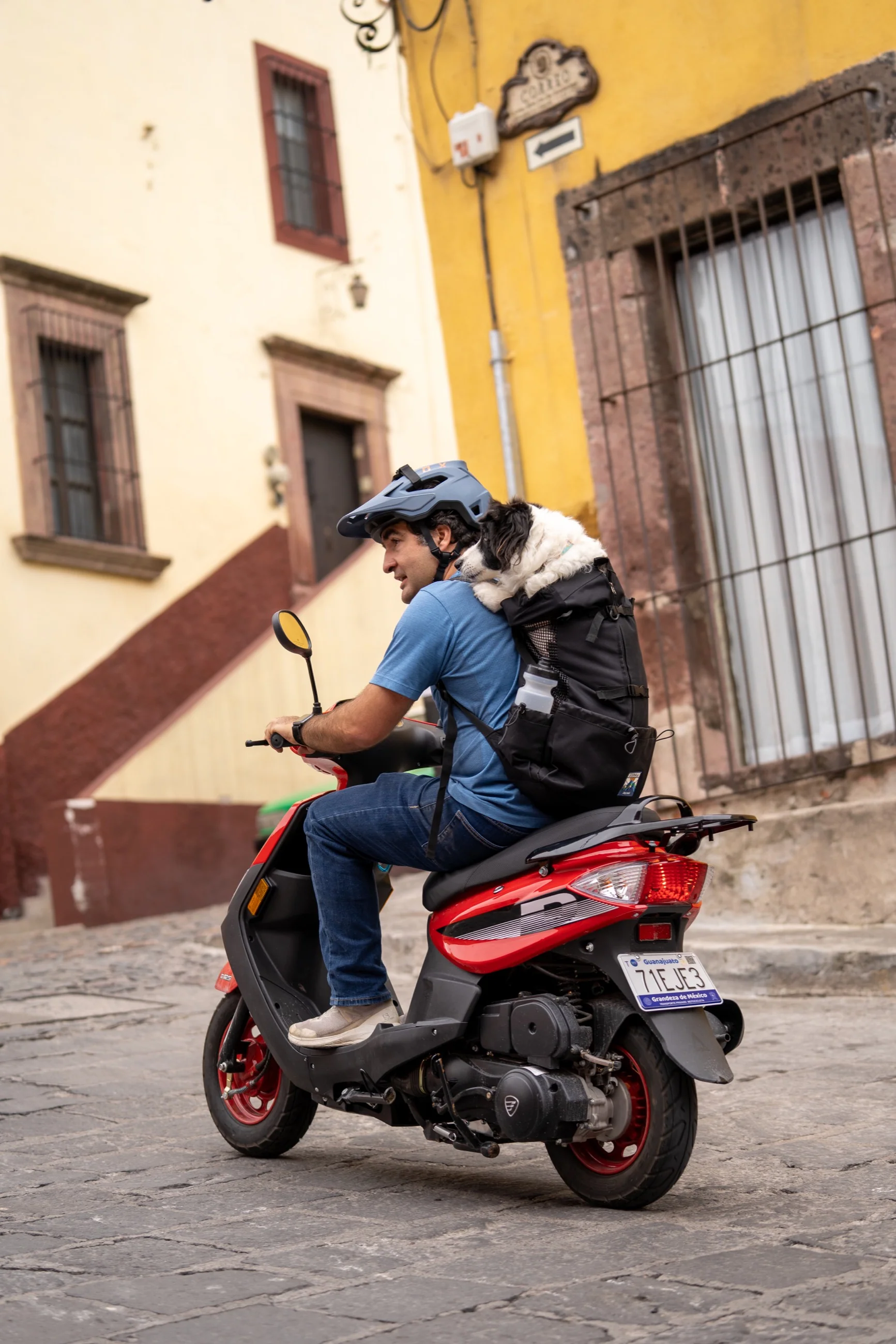 Imagen del producto 13