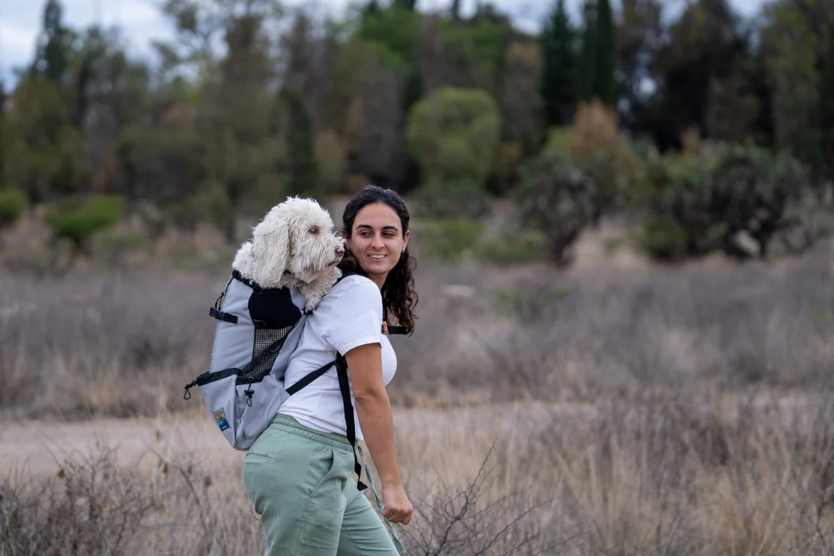 Imagen del producto 15