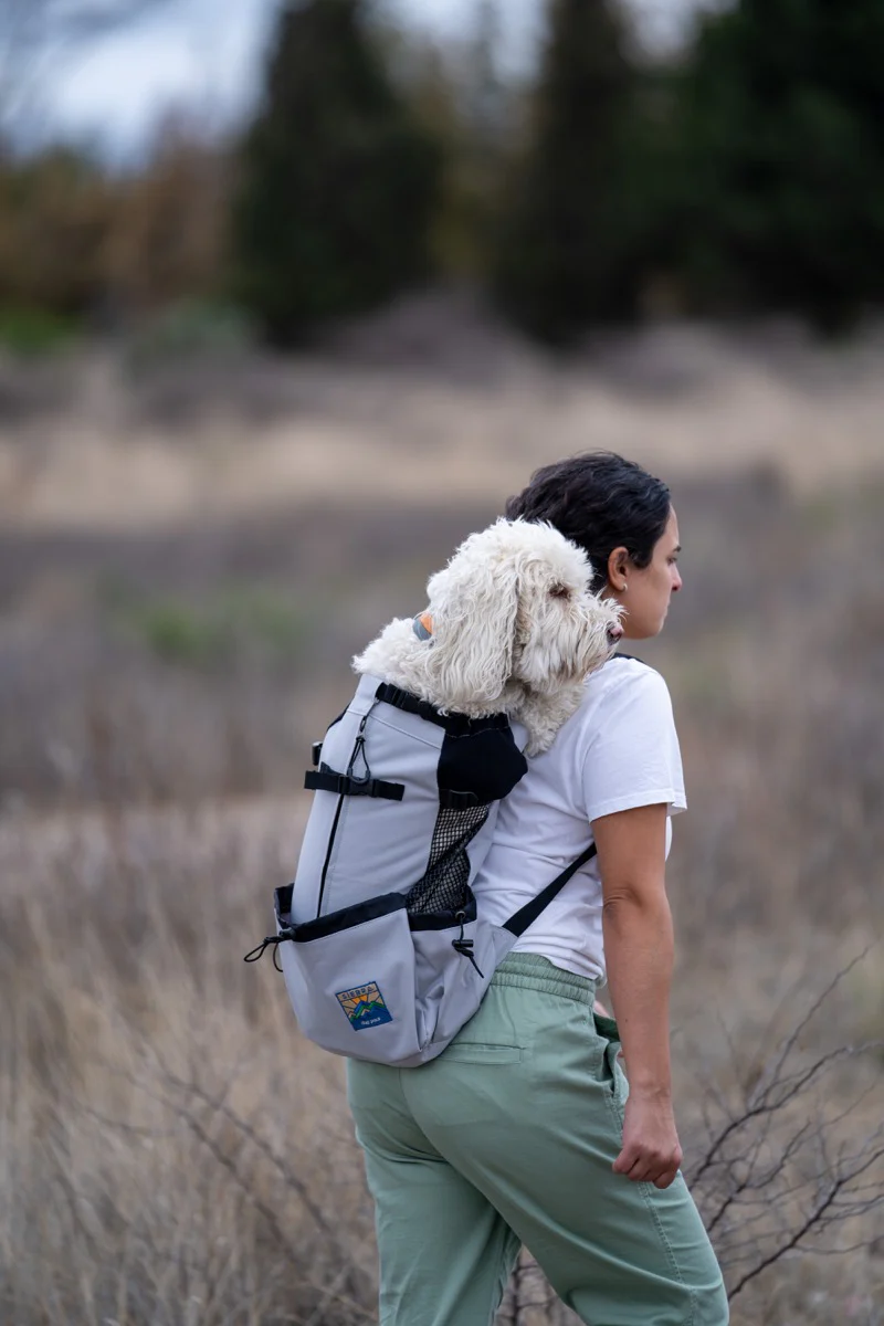 Imagen del producto 19