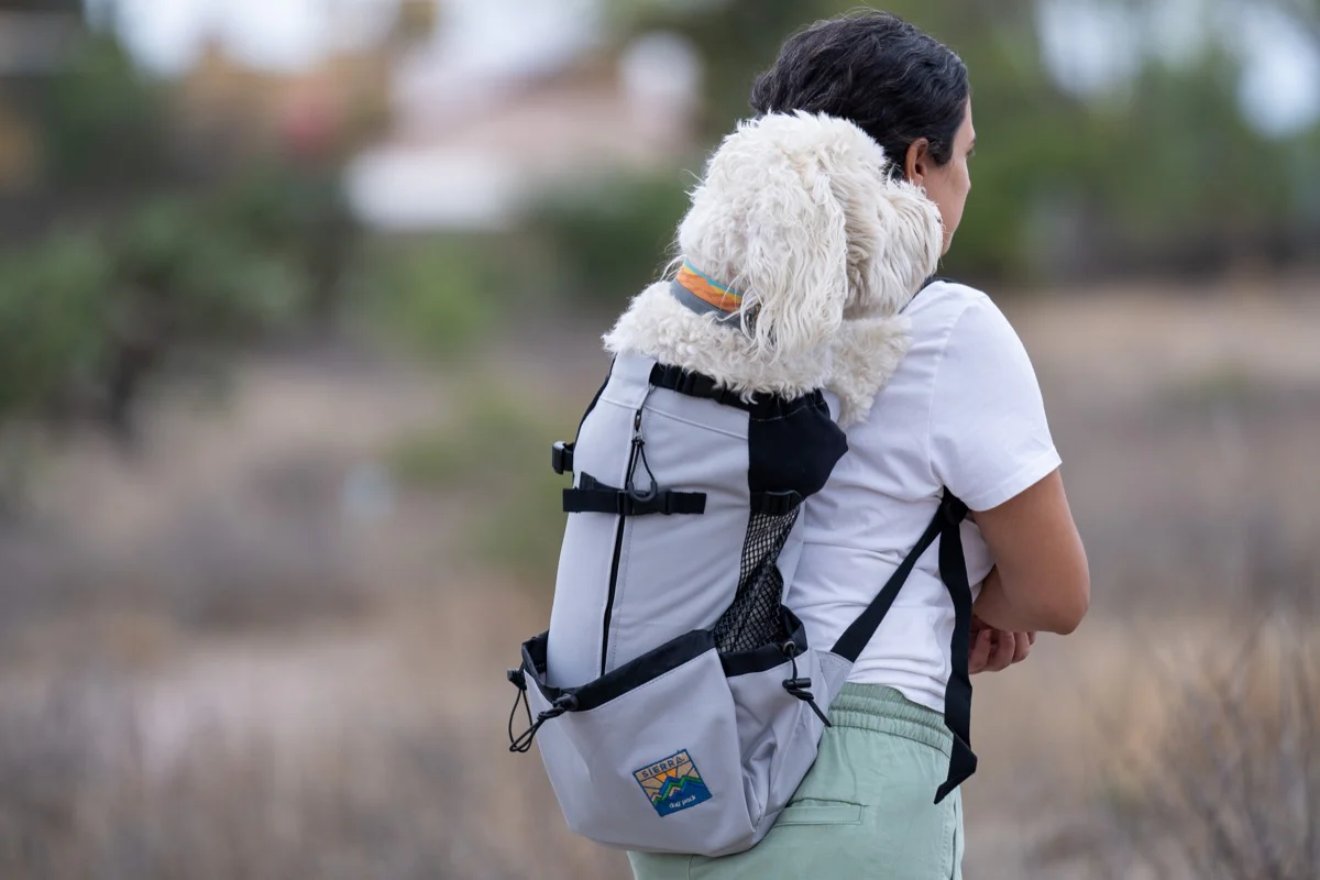 Imagen del producto 20