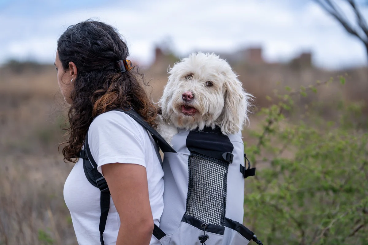 Imagen del producto 27