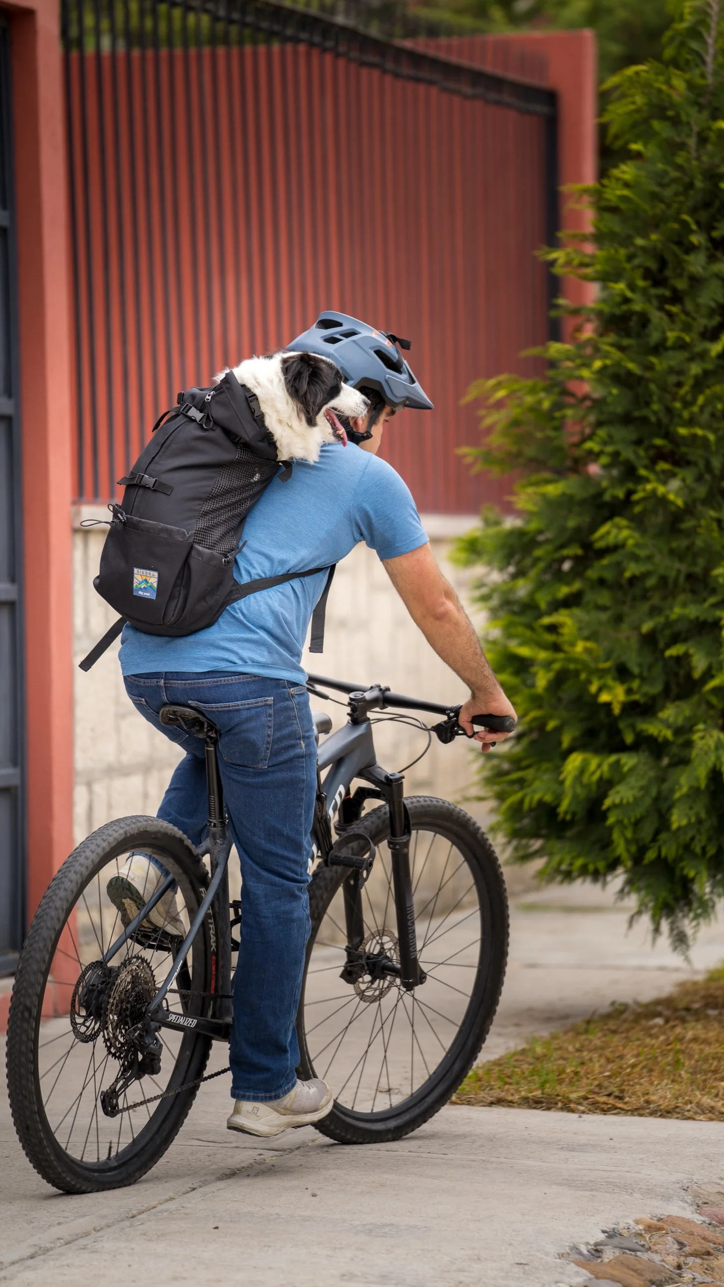 Imagen del producto 29