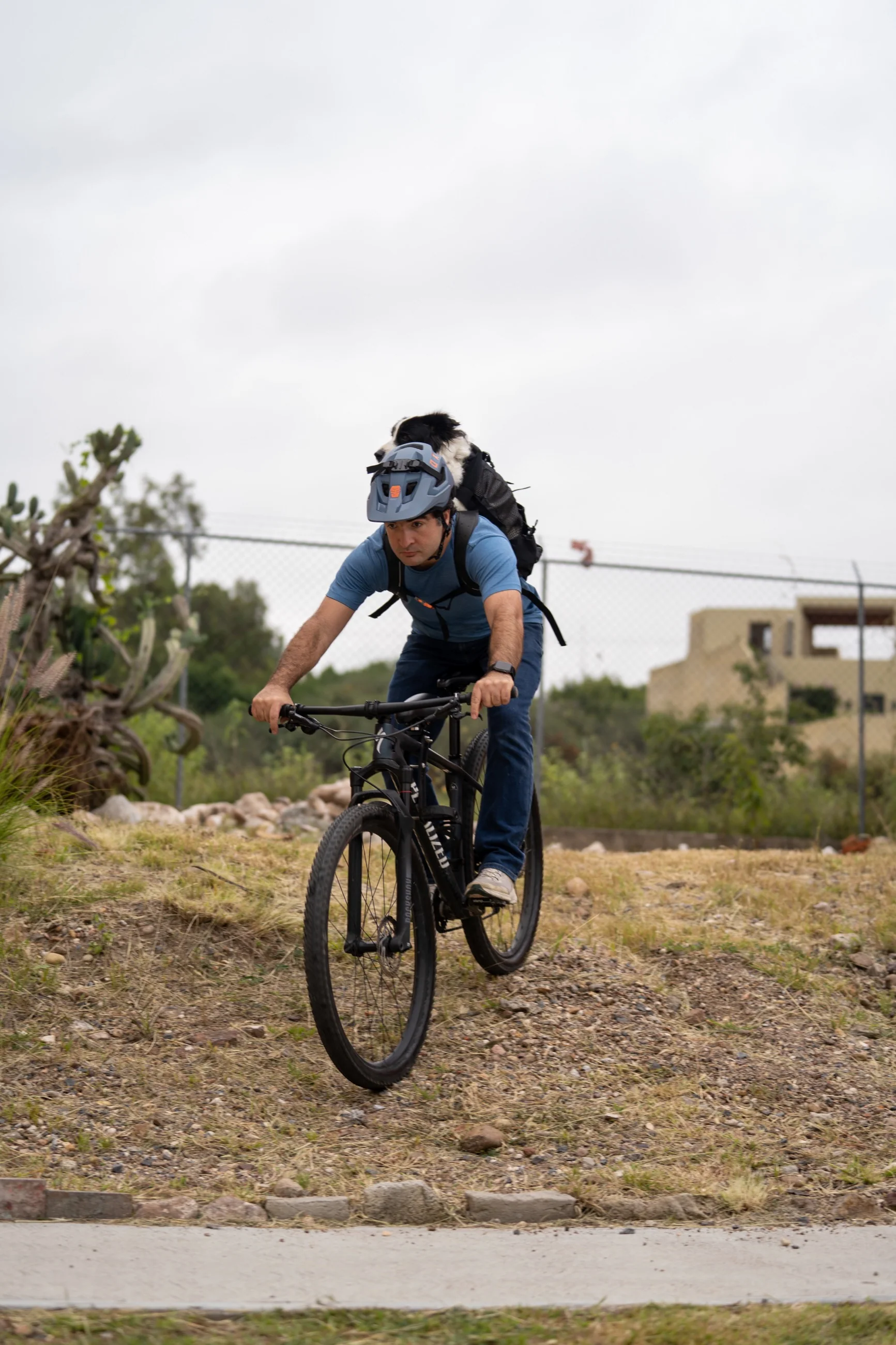 Imagen del producto 32