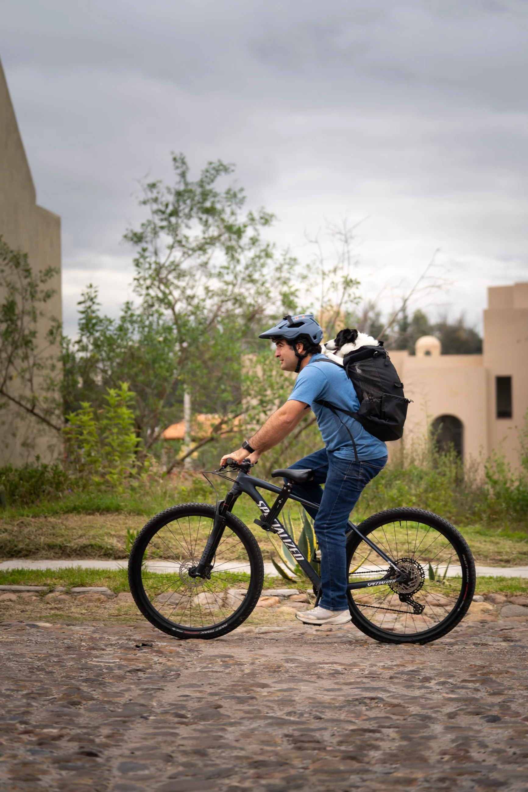 Imagen del producto 33