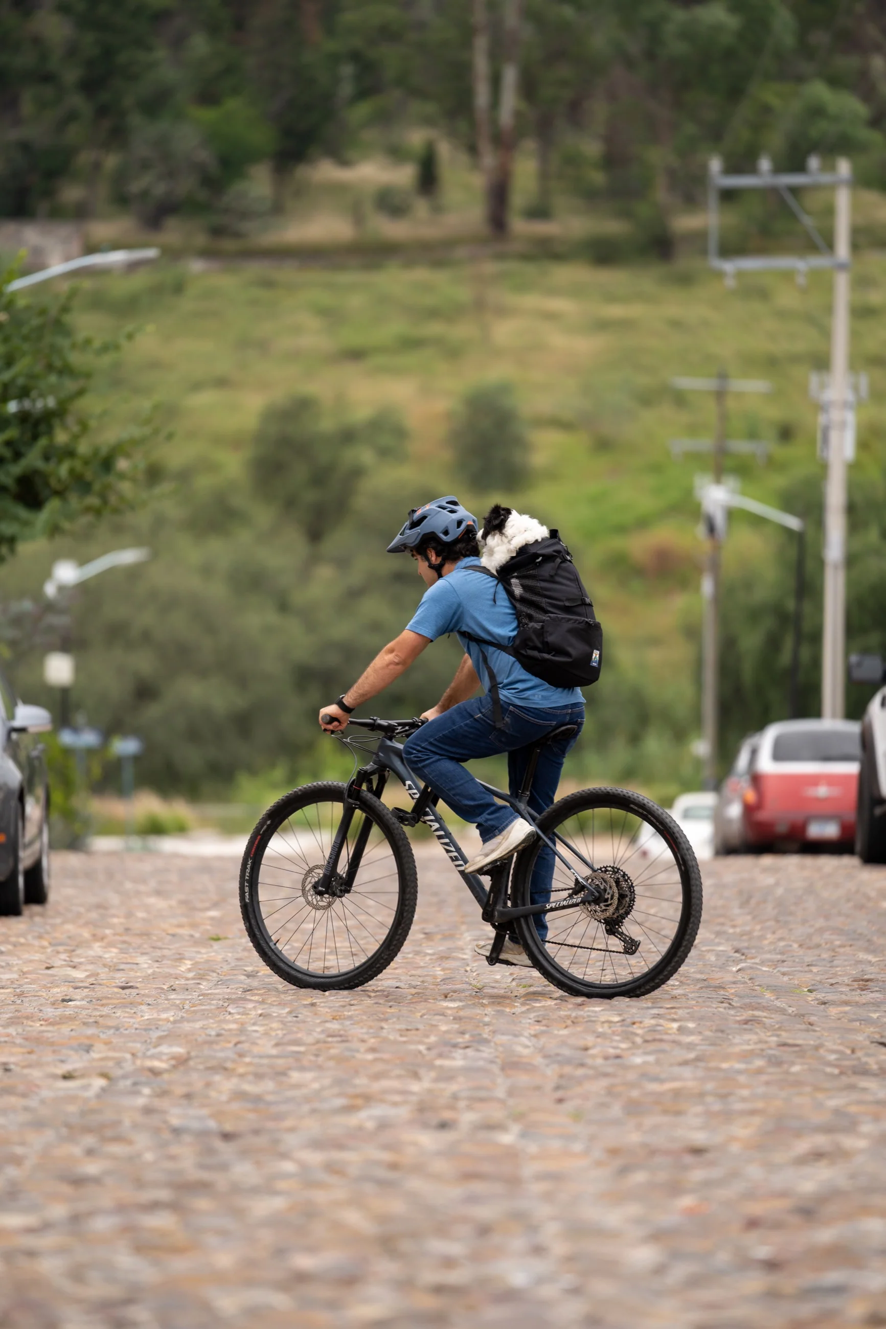 Imagen del producto 37