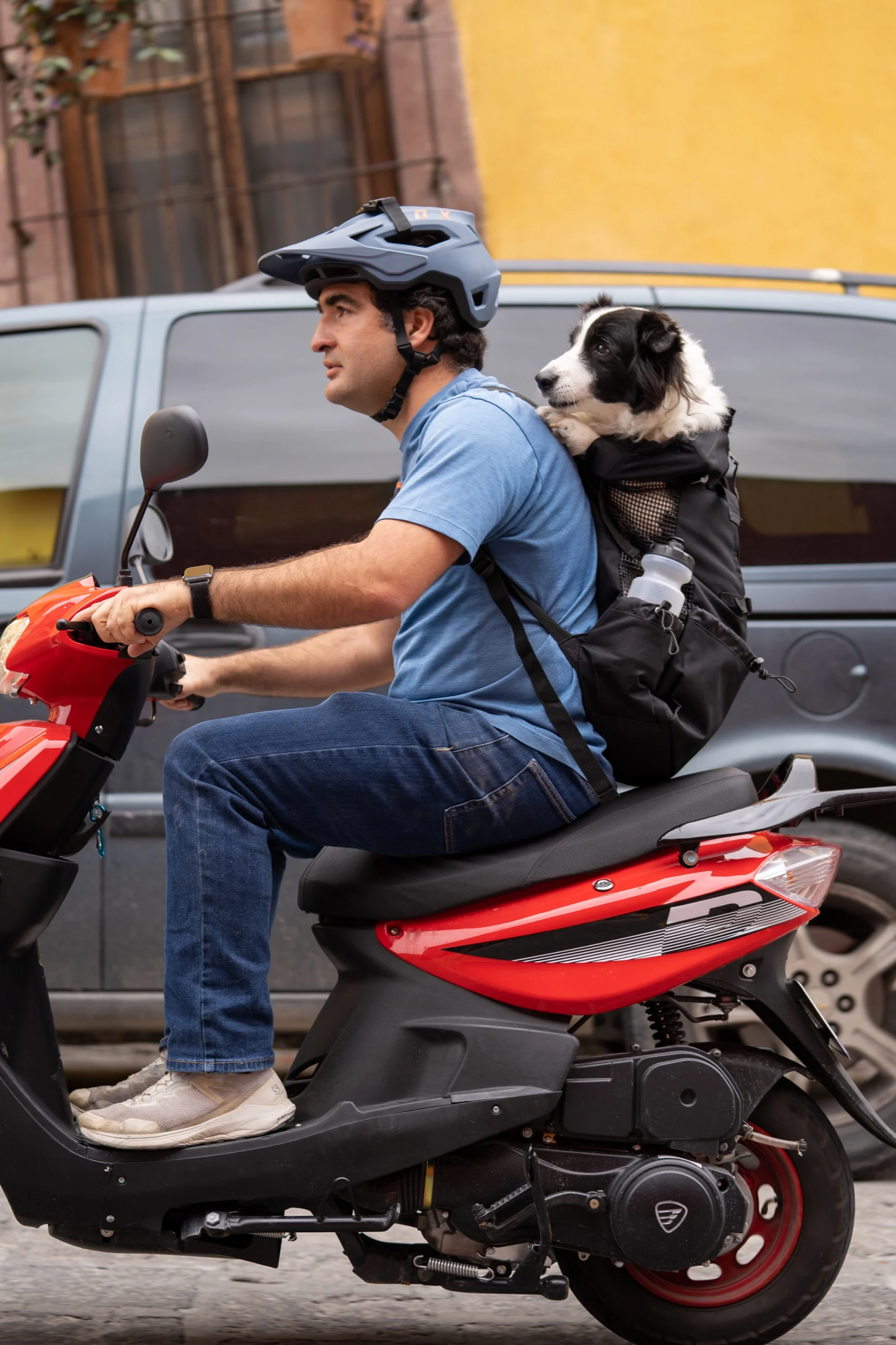 Imagen del producto 43