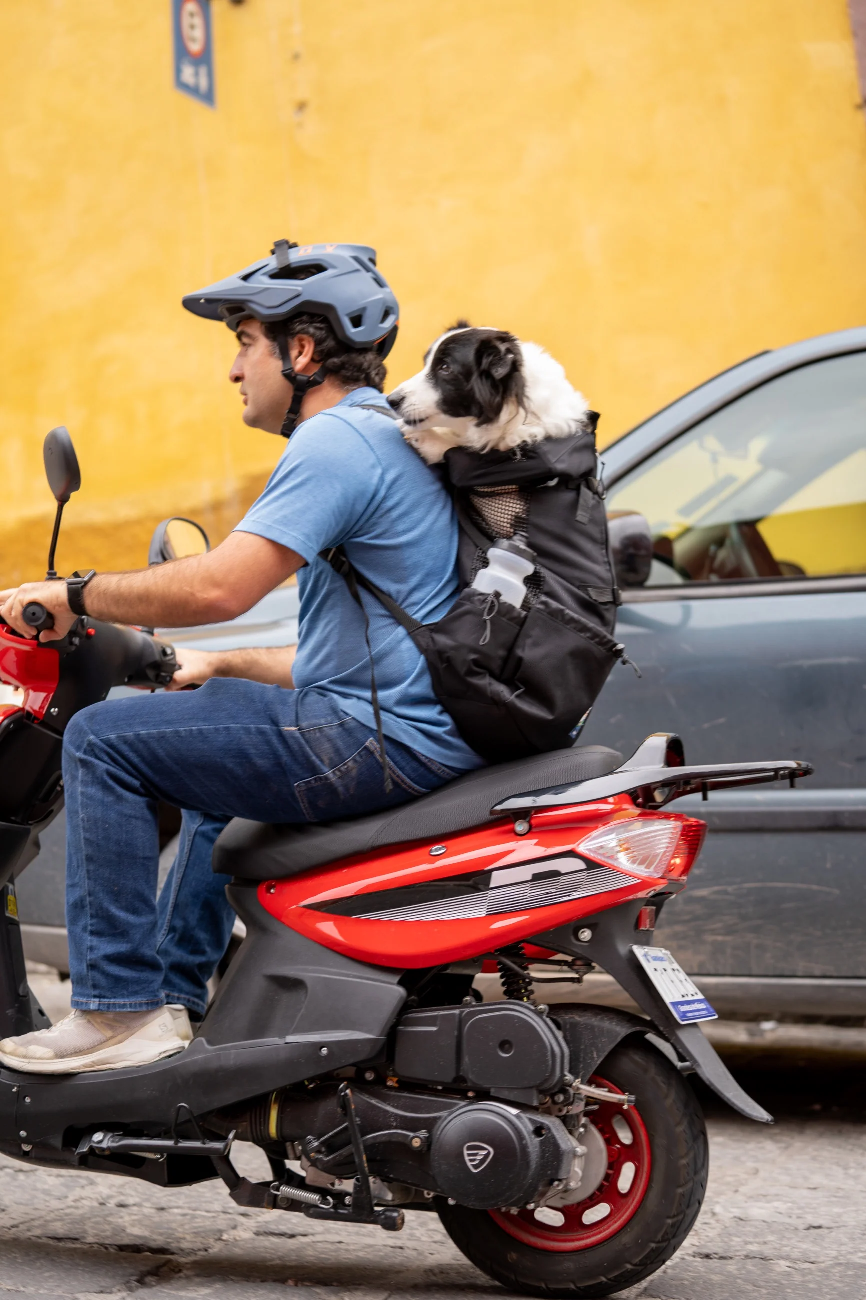 Imagen del producto 44