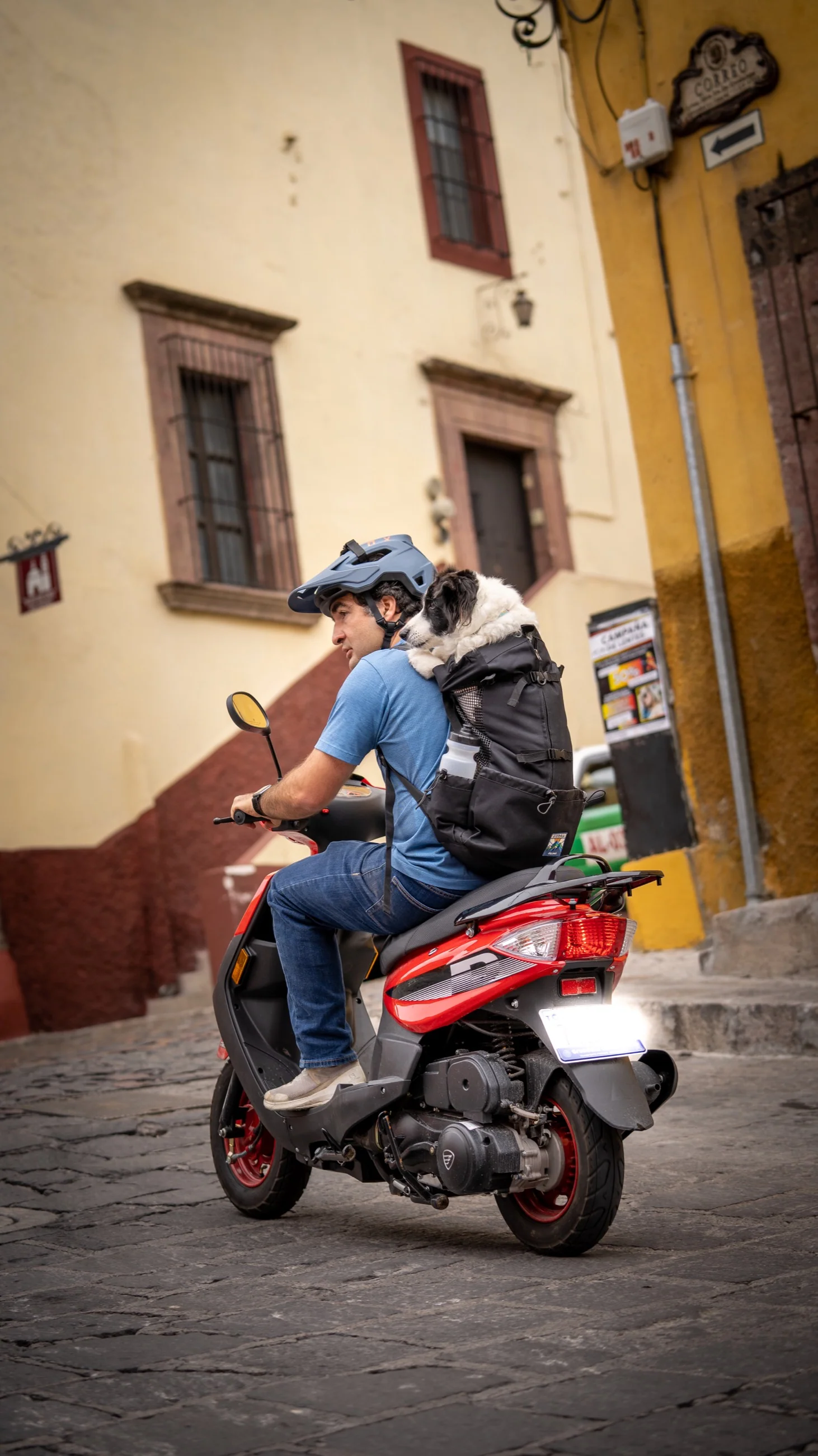 Imagen del producto 45