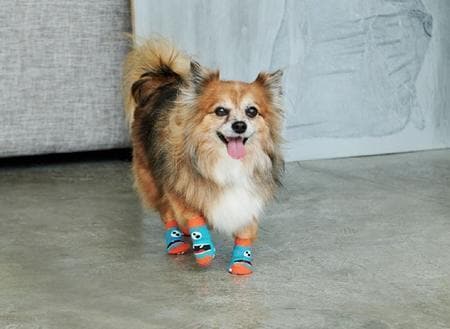 Imagen del producto 5