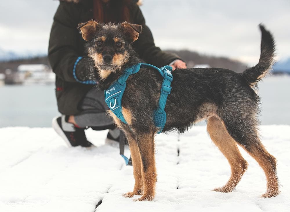 Imagen del producto 4