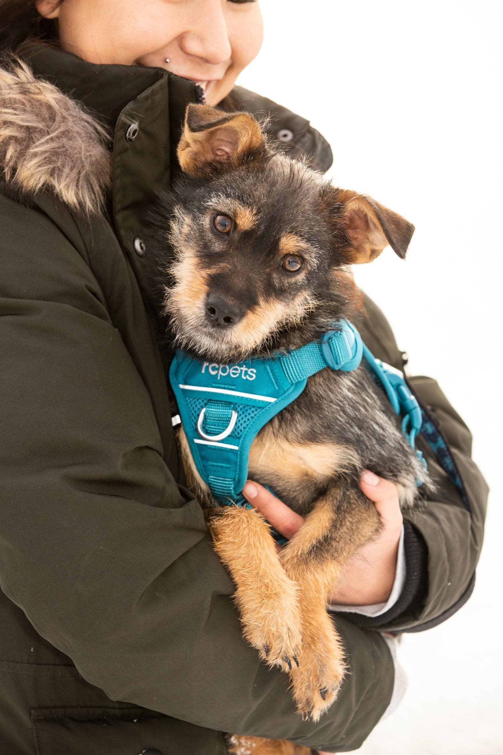 Imagen del producto 5