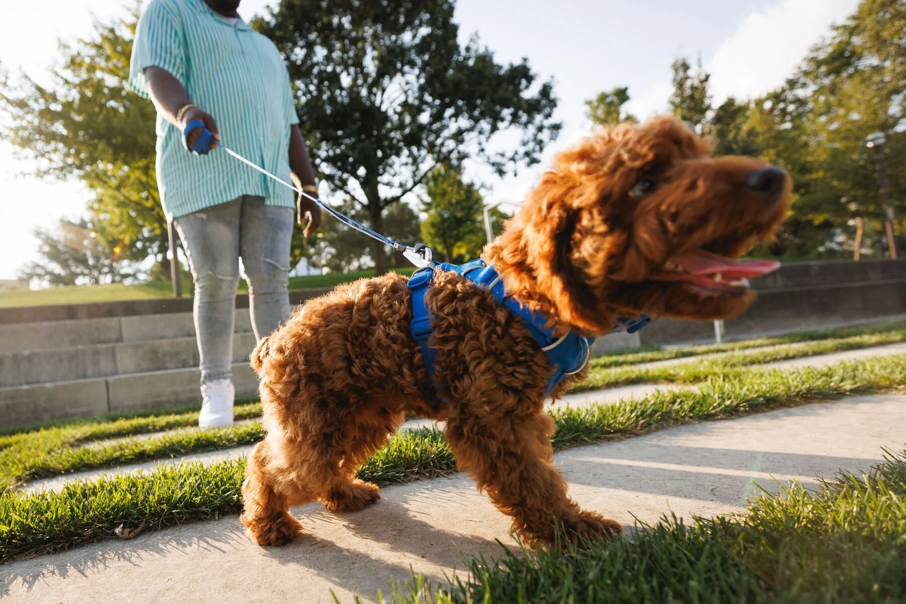 Imagen del producto 19