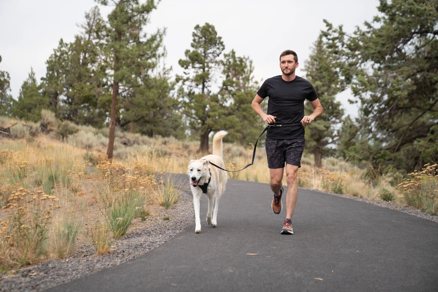 Imagen del producto 17